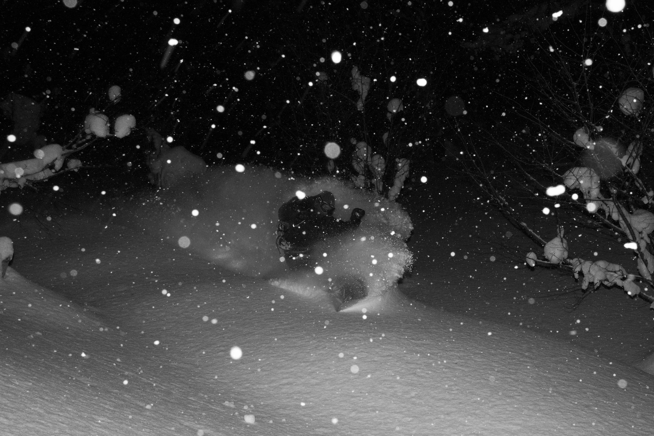 untitled (26 of 48).jpg