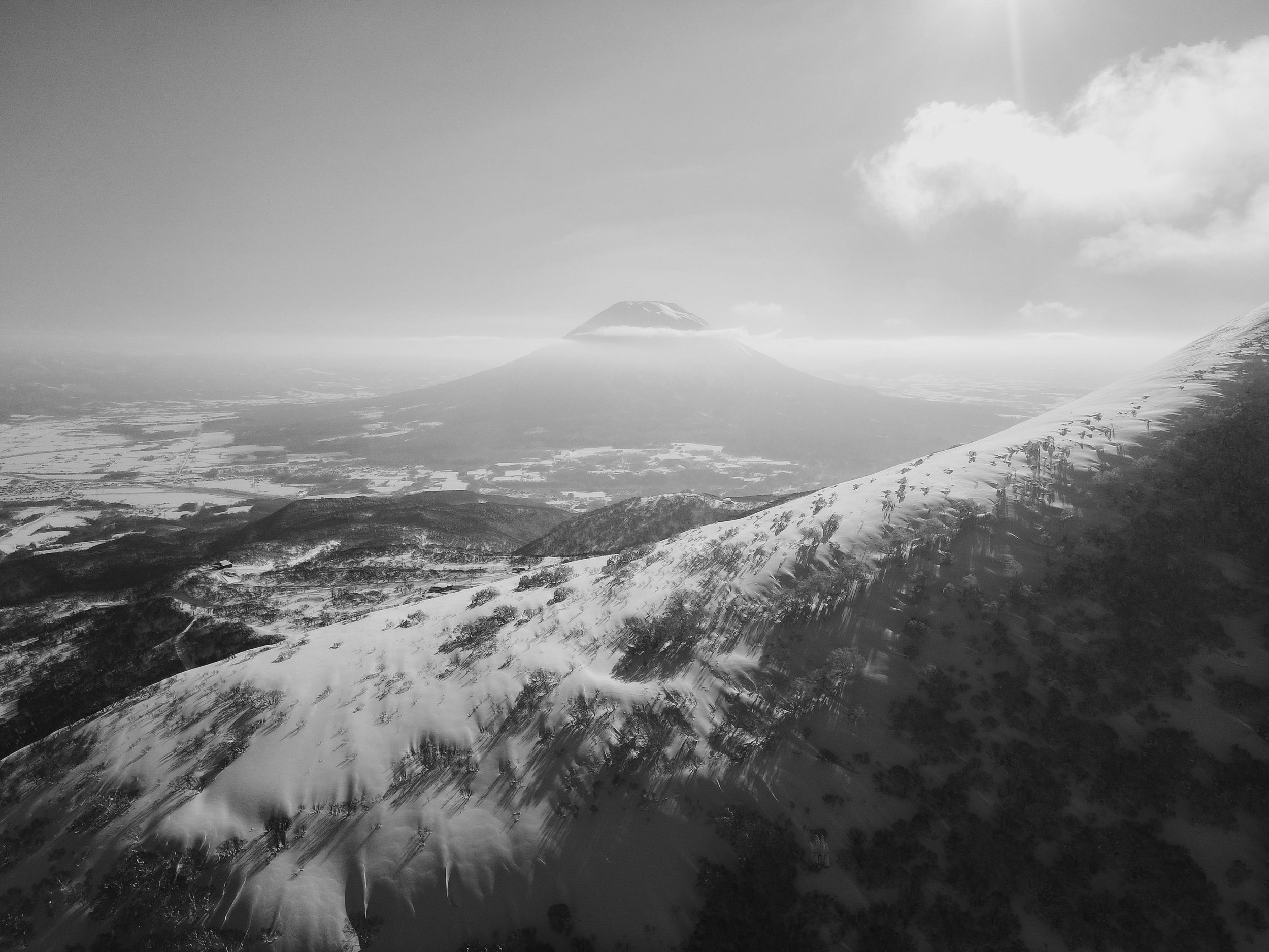 DJI_0445.jpg