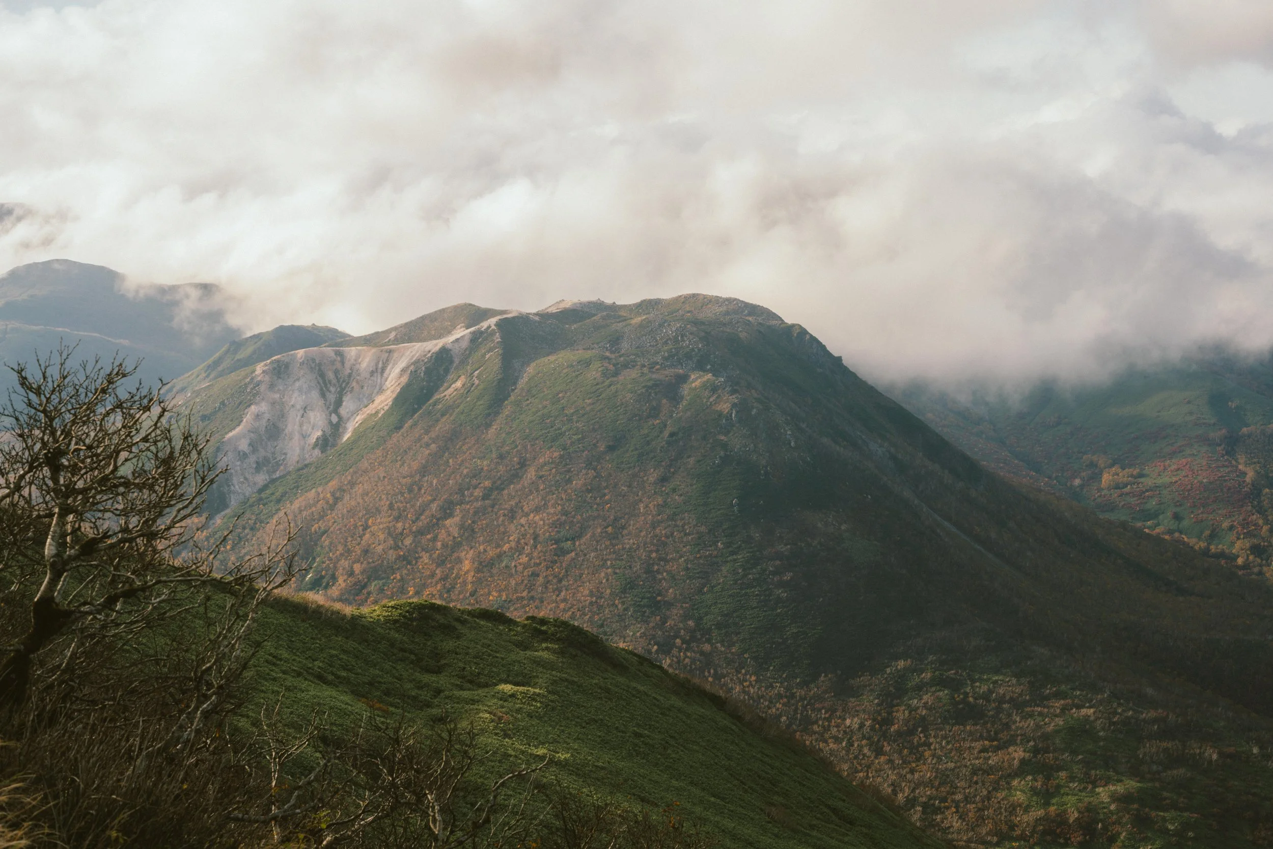 DSC08900-HDR.jpg