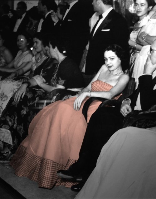 img-41-cropped.jpeg