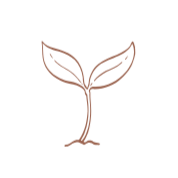 A simple illustration of a young sprouting plant with two leaves and a slender stem.