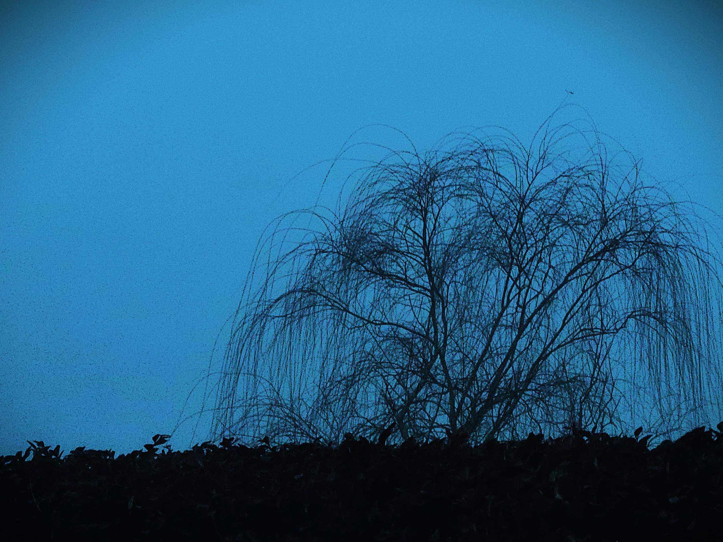 20250204_070148.jpg