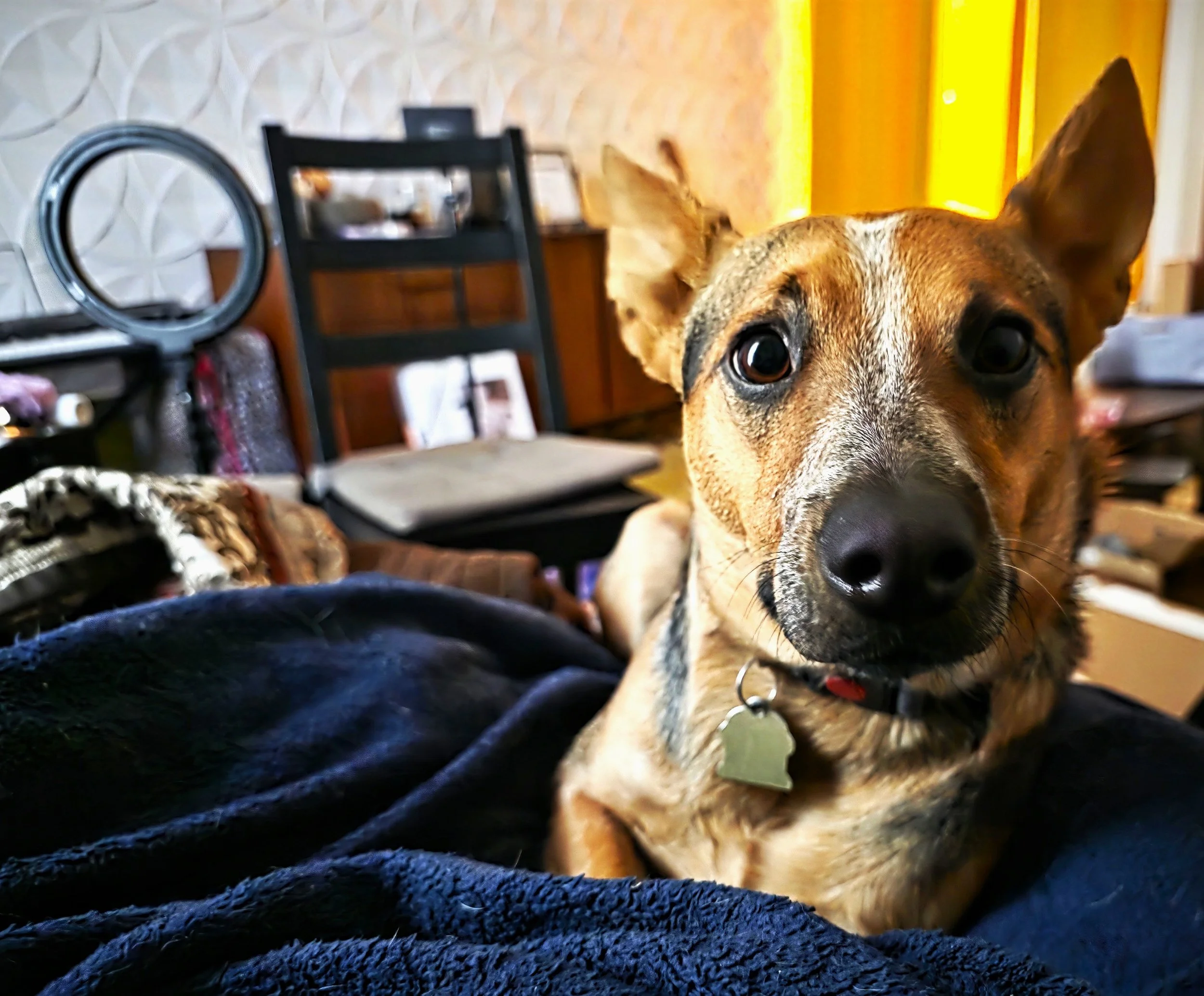 20260408_080305.jpg