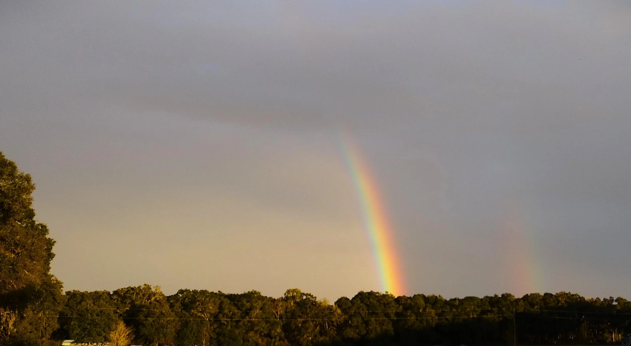 20201122_171344.jpg