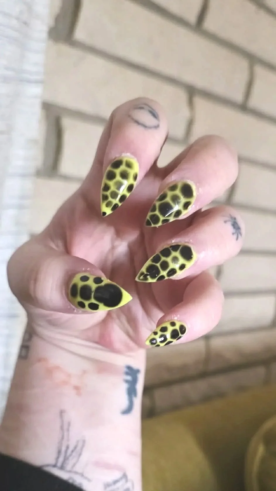 Green with Black Spots Long.jpg
