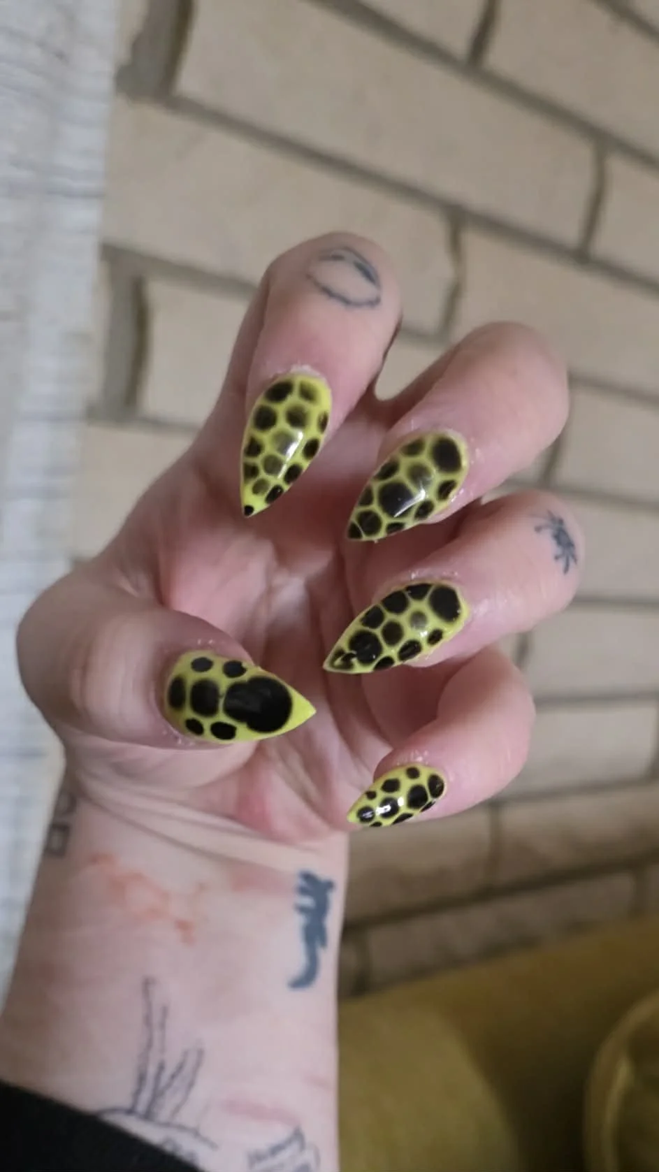 Green with Black Spots Long.jpg