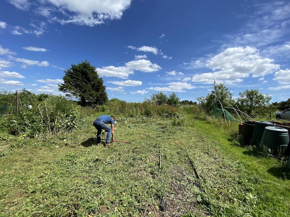 A person in a blue shirt and jeans working in a garden or field, using a tool to tend to plants or weeds. The sky is bright with scattered clouds, and there are trees, plants, and bins in the background, indicating a rural or garden setting.