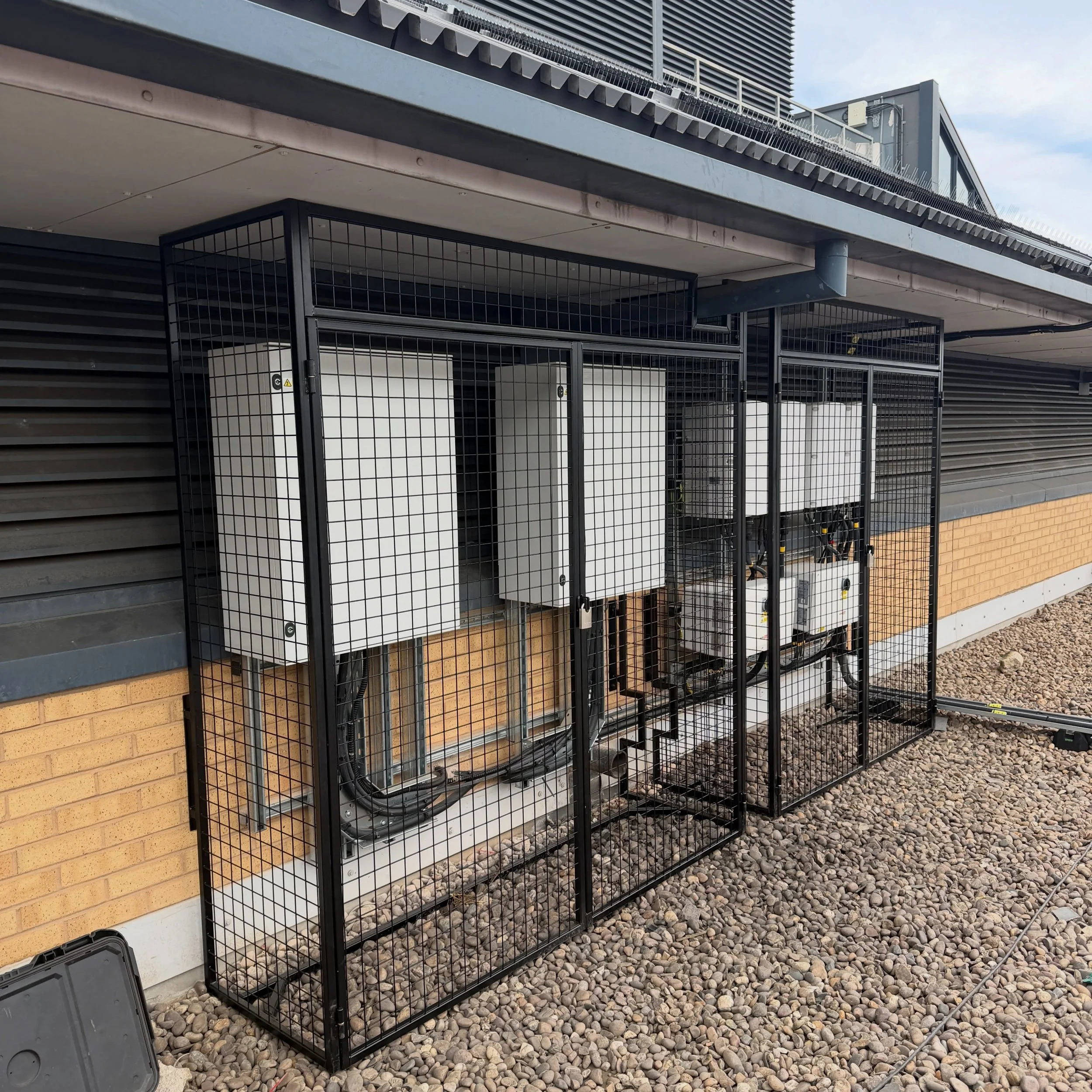 cage2.jpg