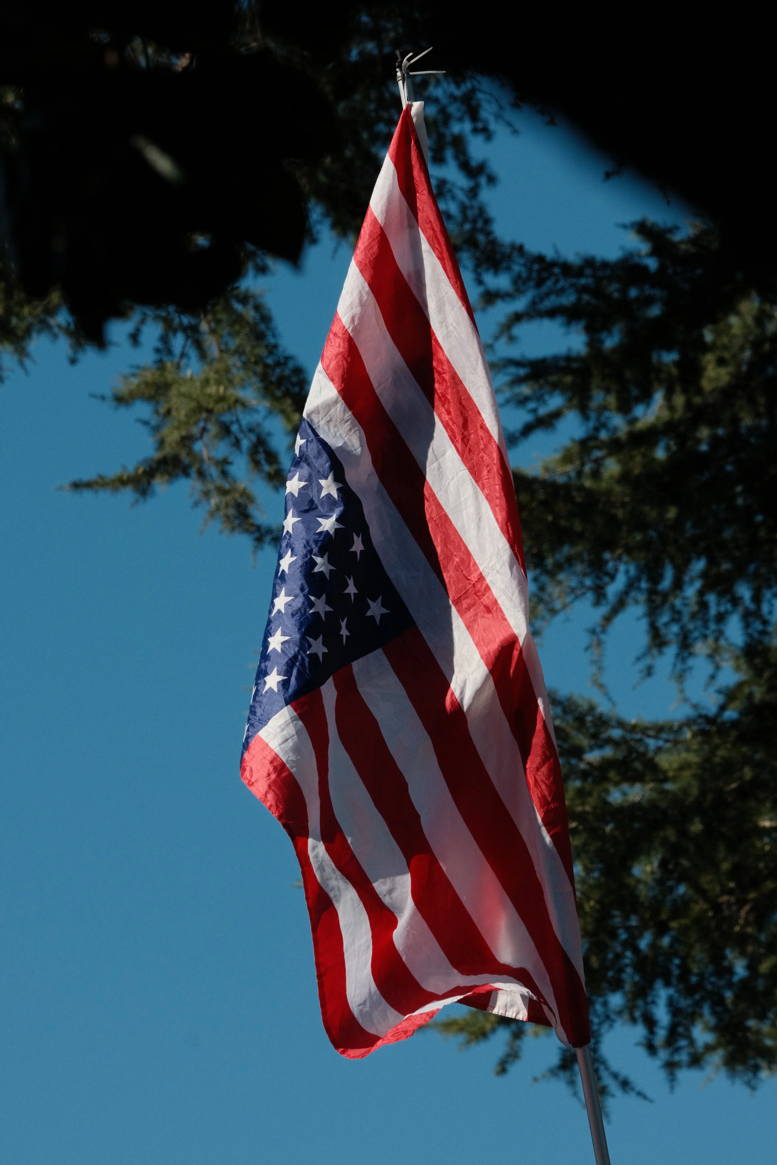 DSCF2104.JPG