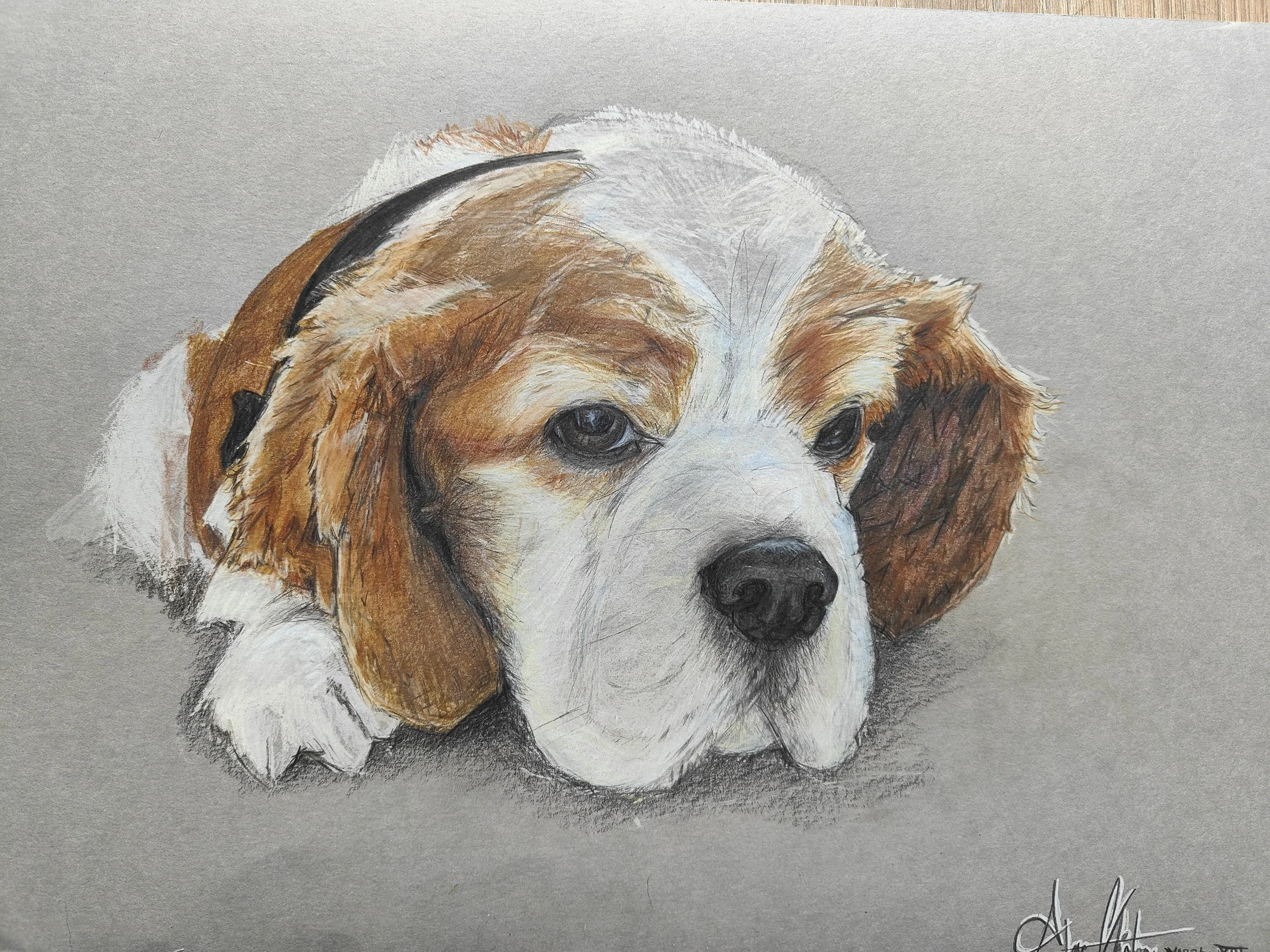 A3 Portrait