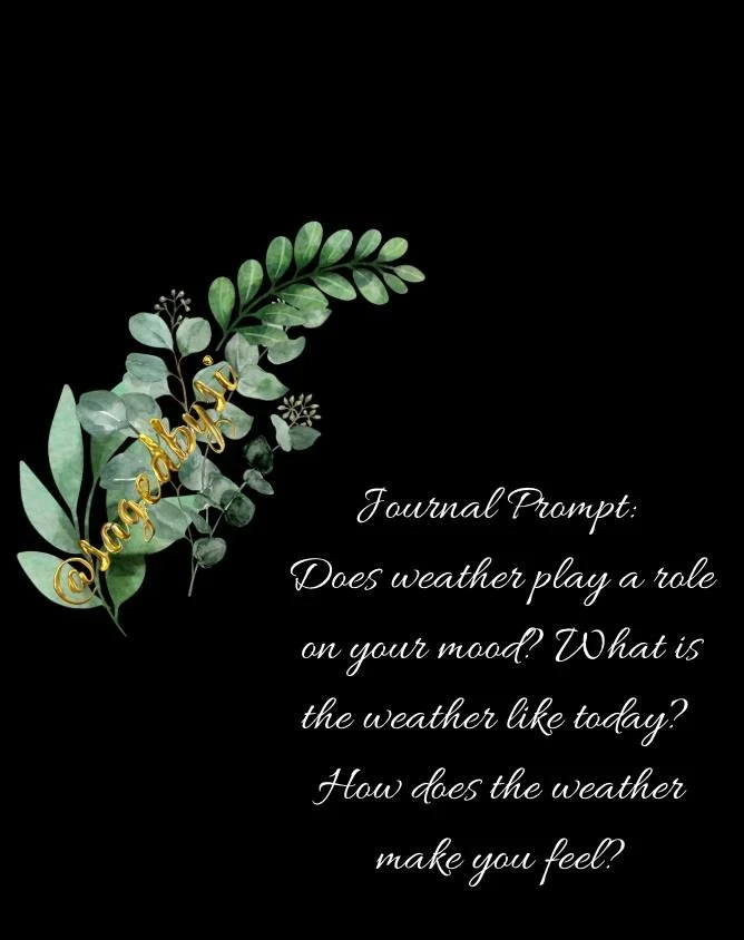 Journal Prompt: Does weather play a role on your mood? What is the weather like today? How does the weather make you feel? 

#seasonal #writersofinstagram #readers #readersofinstagram #fiction #writingcommunity #literature #storytime #creativewriting
