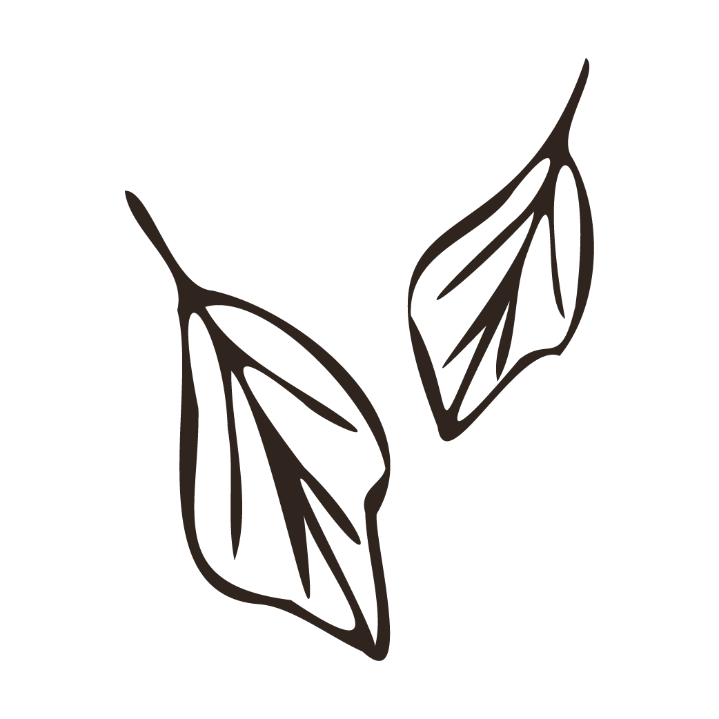 Add SEO E.g Nature Connection Wellbeing Coaching