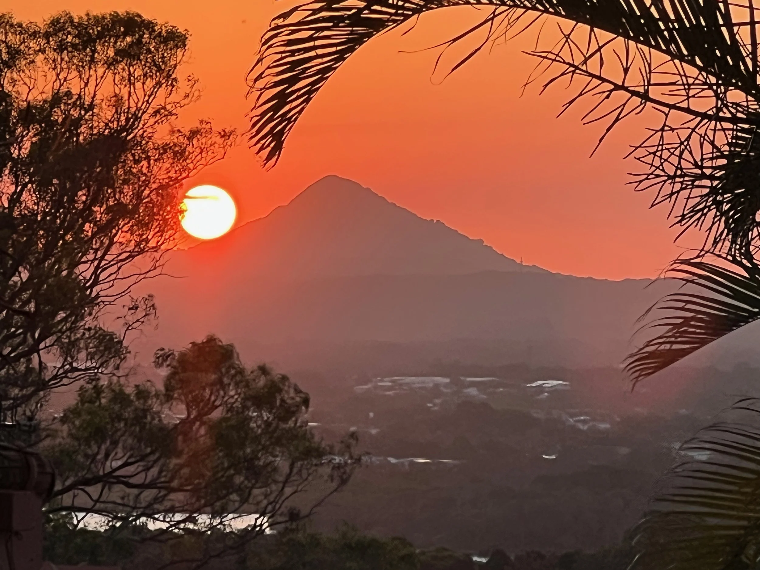 Sunset with orange and pink sky behind silhouette of trees and a mountain.