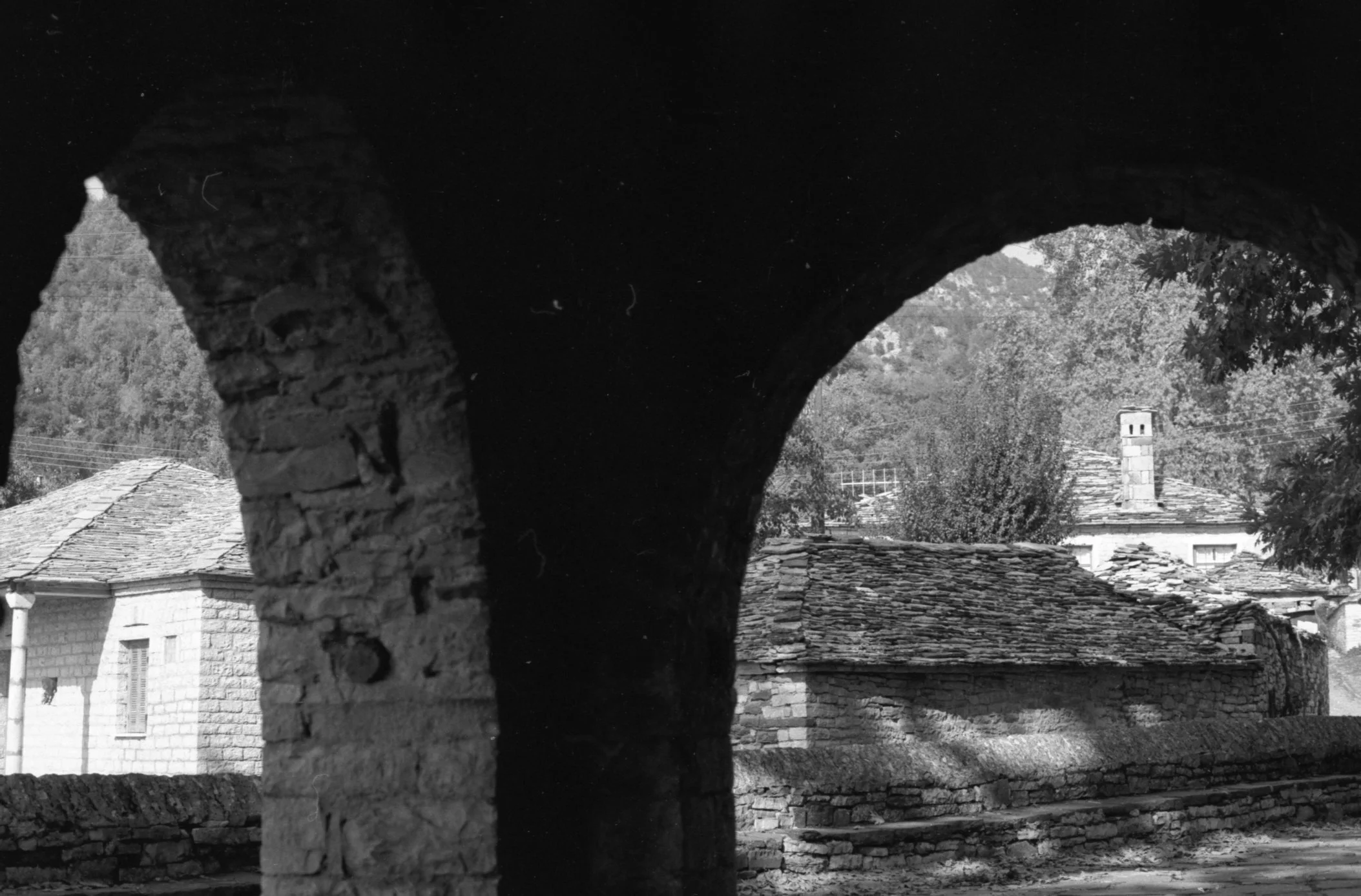 img20260508_17230736.jpg