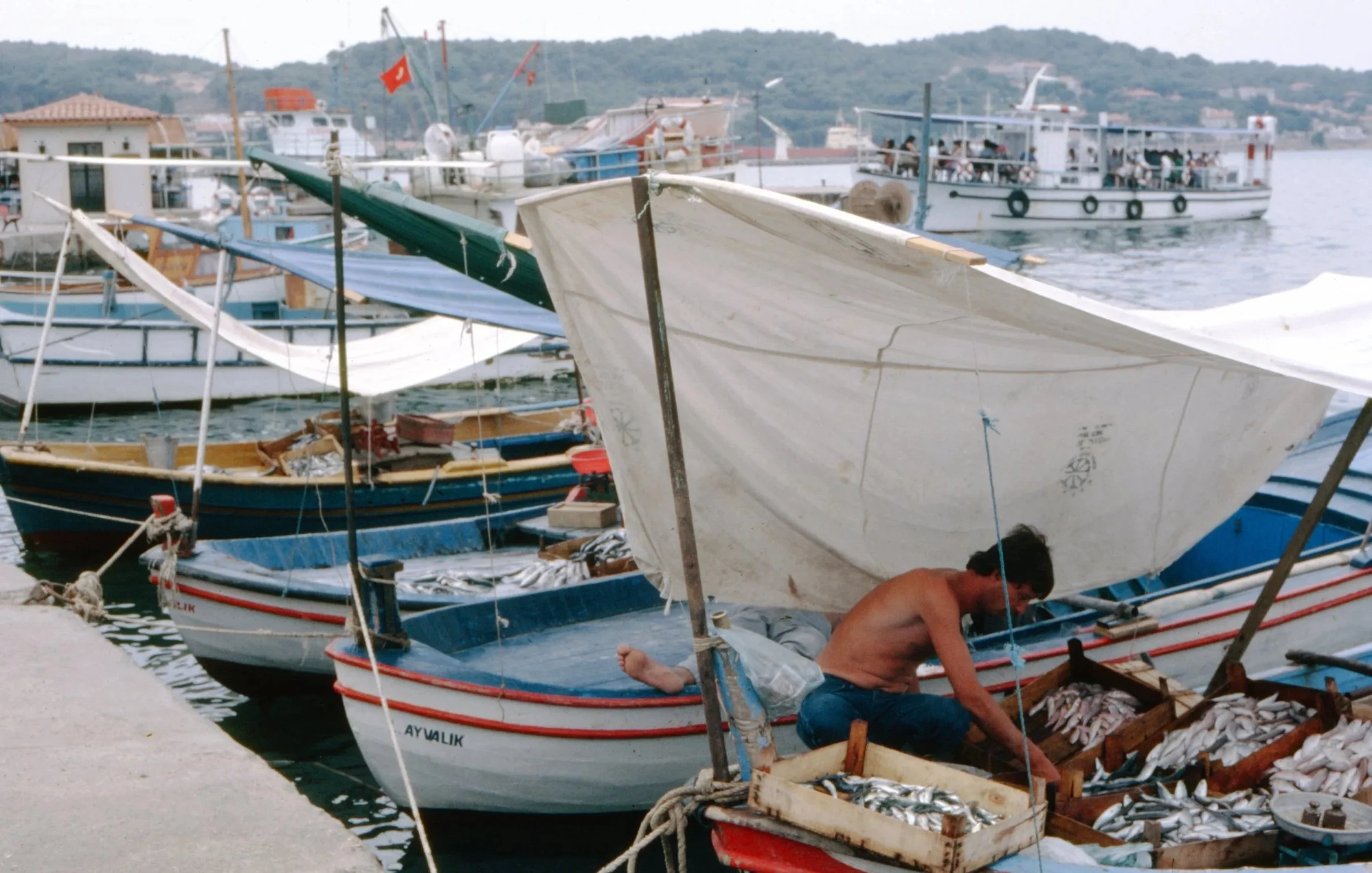 box4.NA.0029.jpg