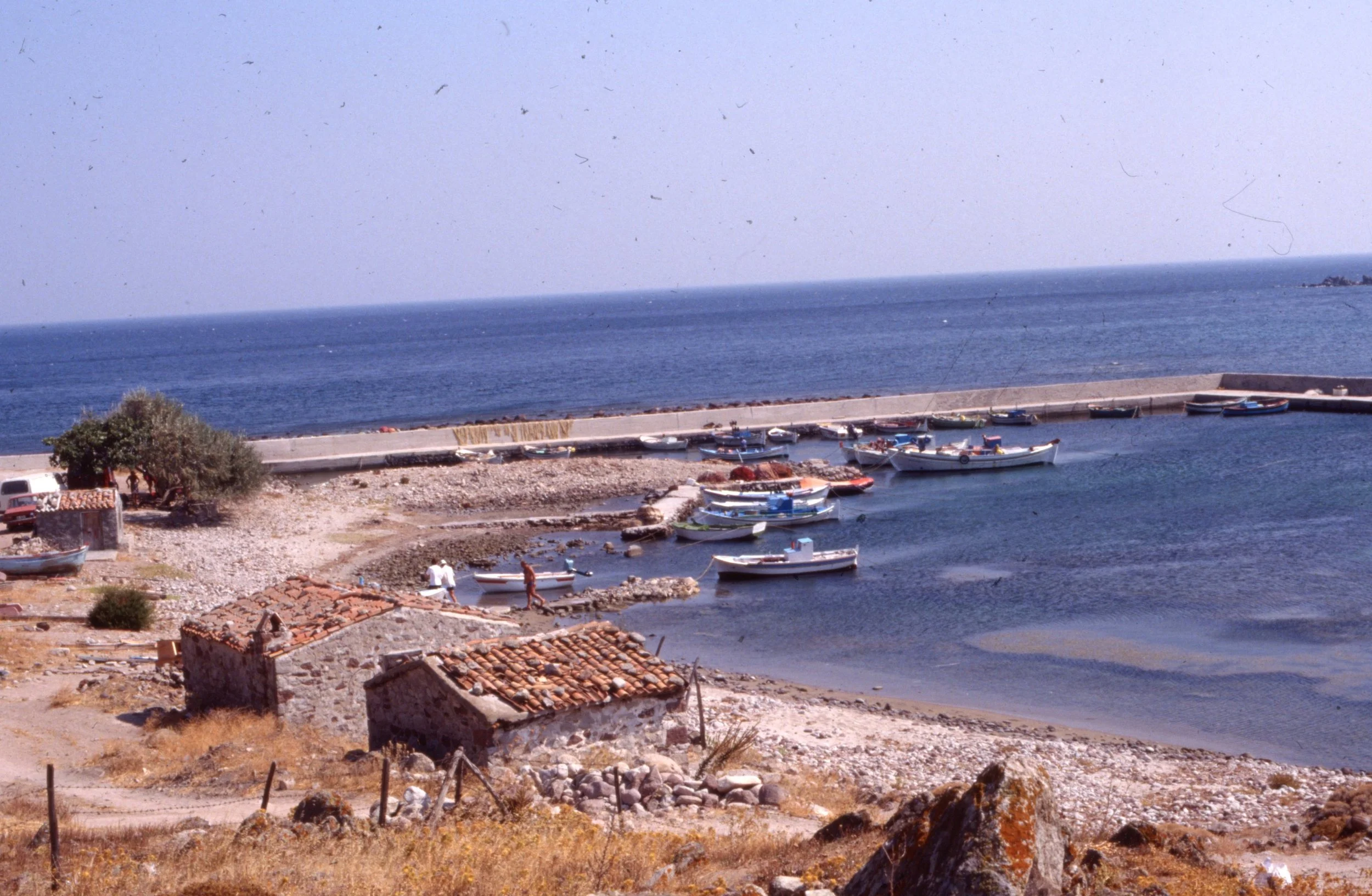 img20260513_13293555.jpg