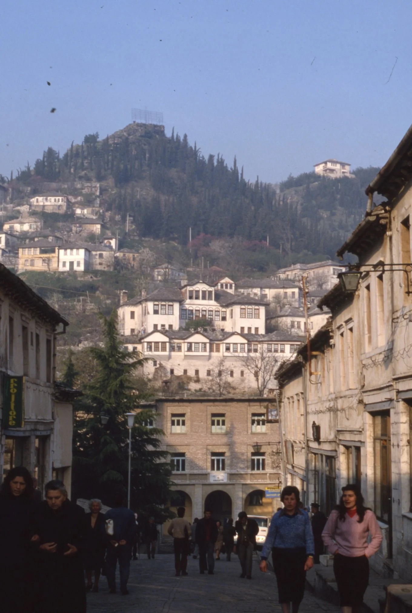 img20260512_15013023.jpg