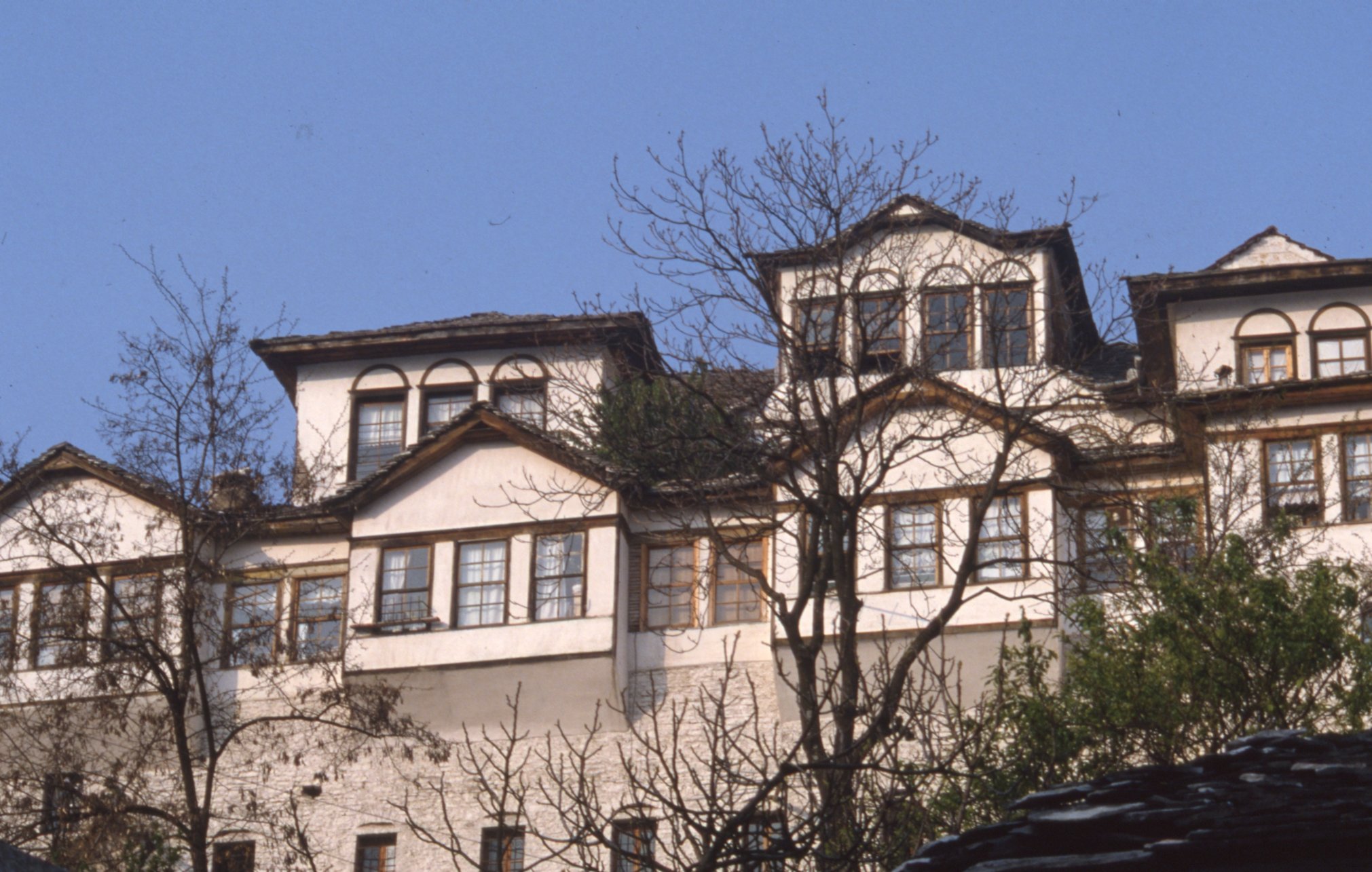 img20260512_15010033.jpg