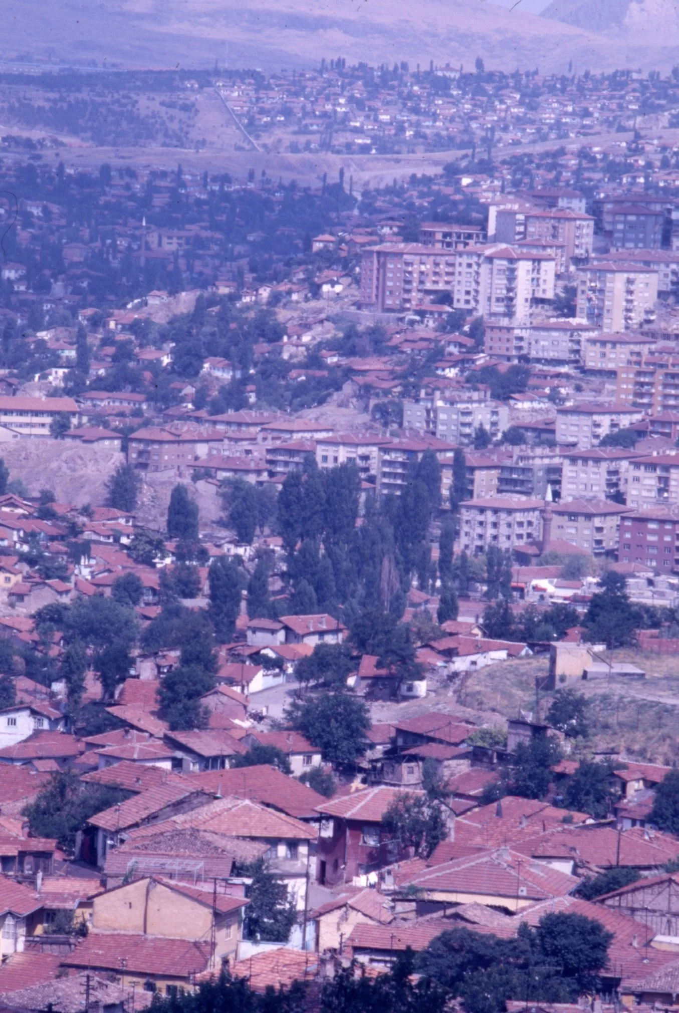 img20260512_15435169.jpg