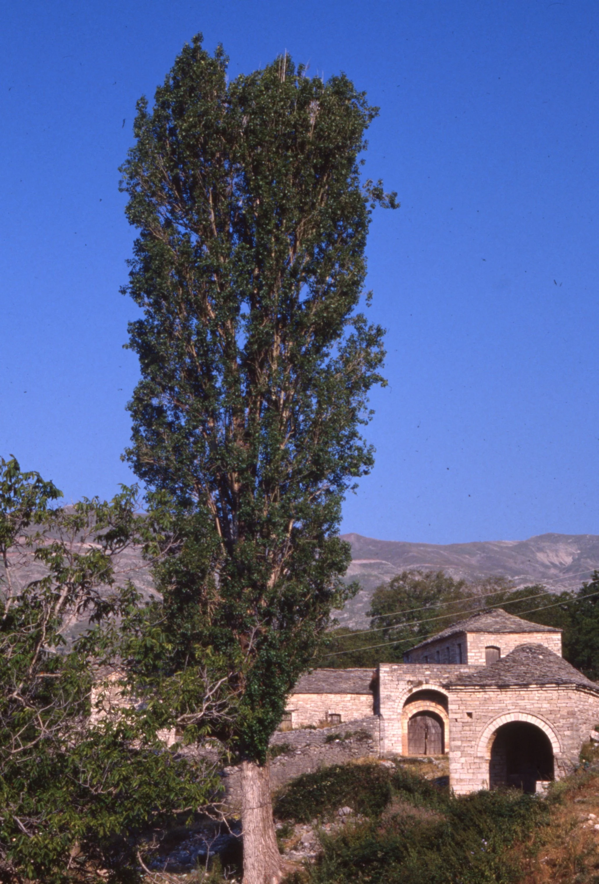 img20260513_12293120.jpg