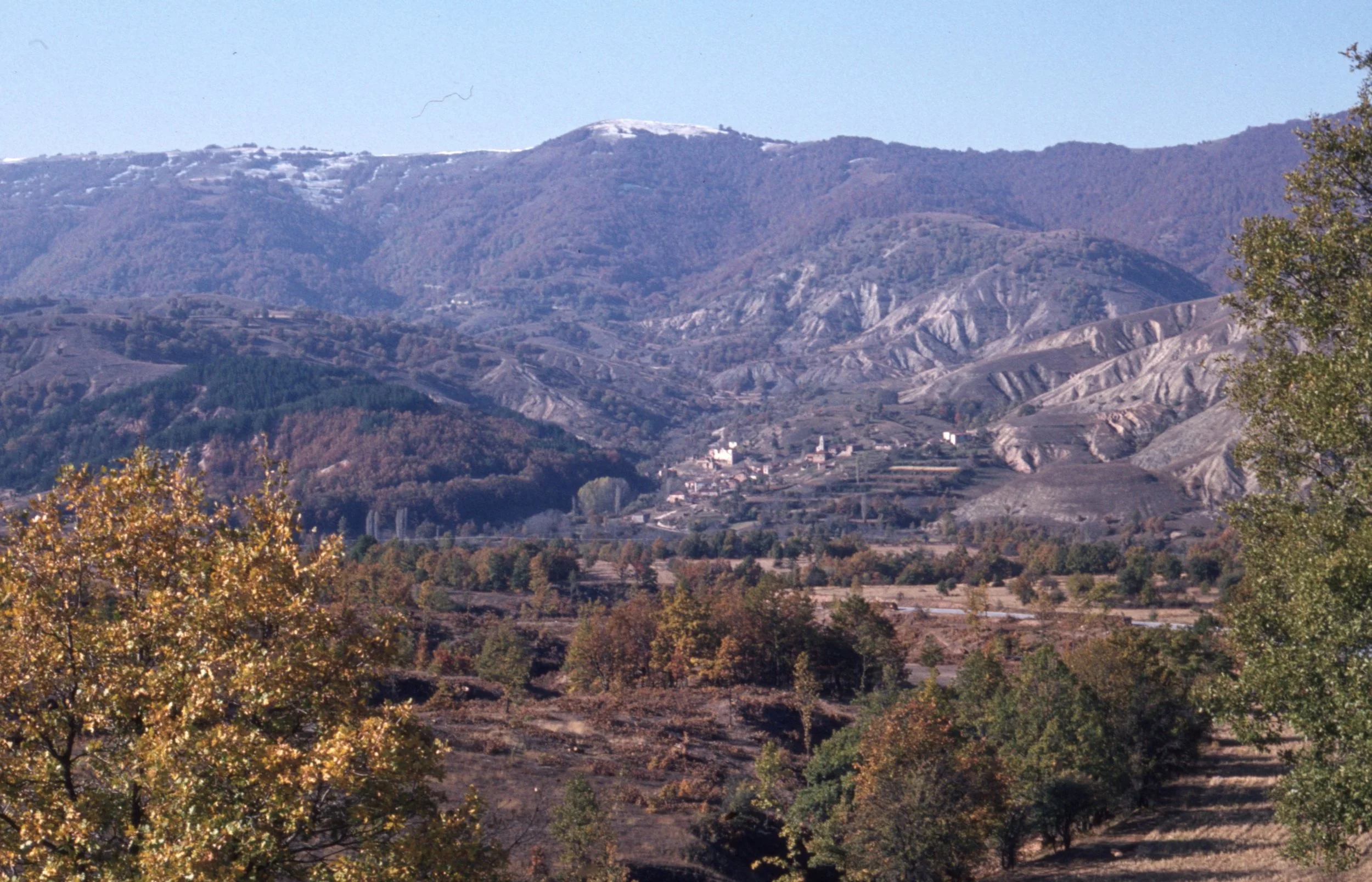 img20260513_16371645.jpg