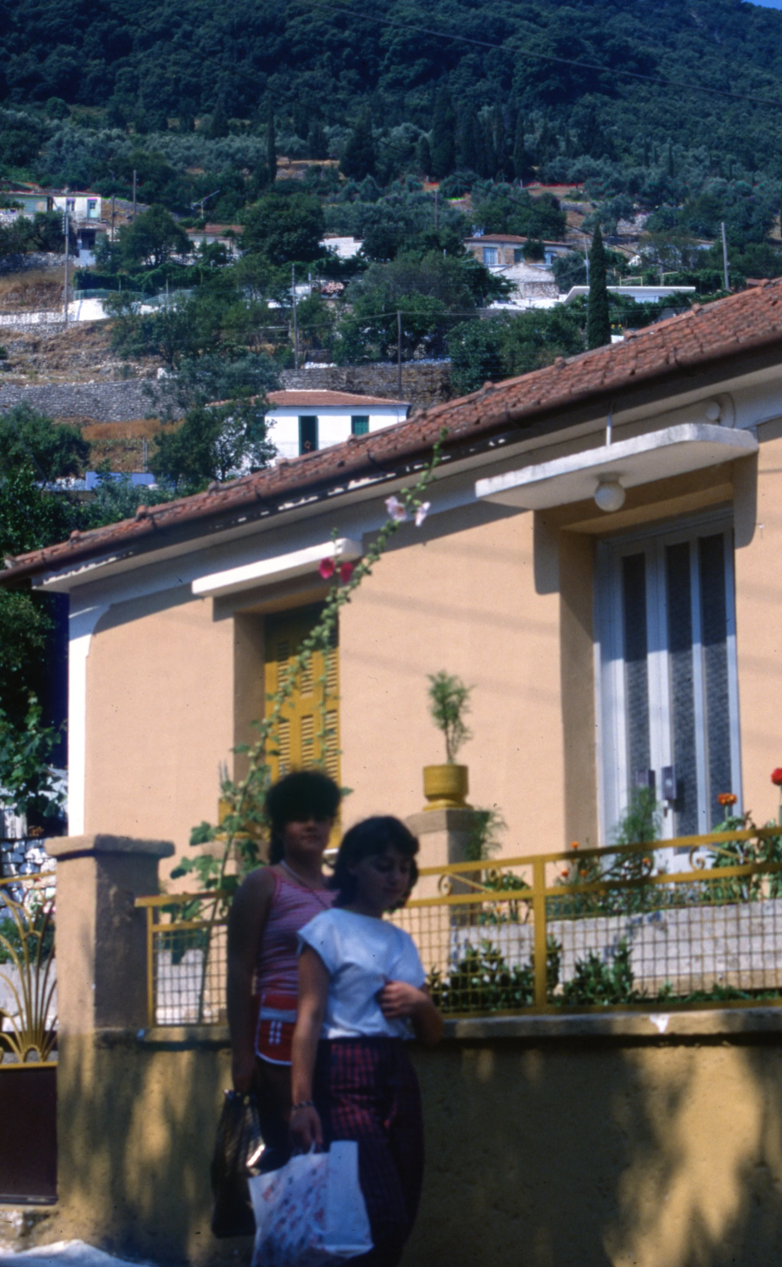 box.n23.0030.jpg