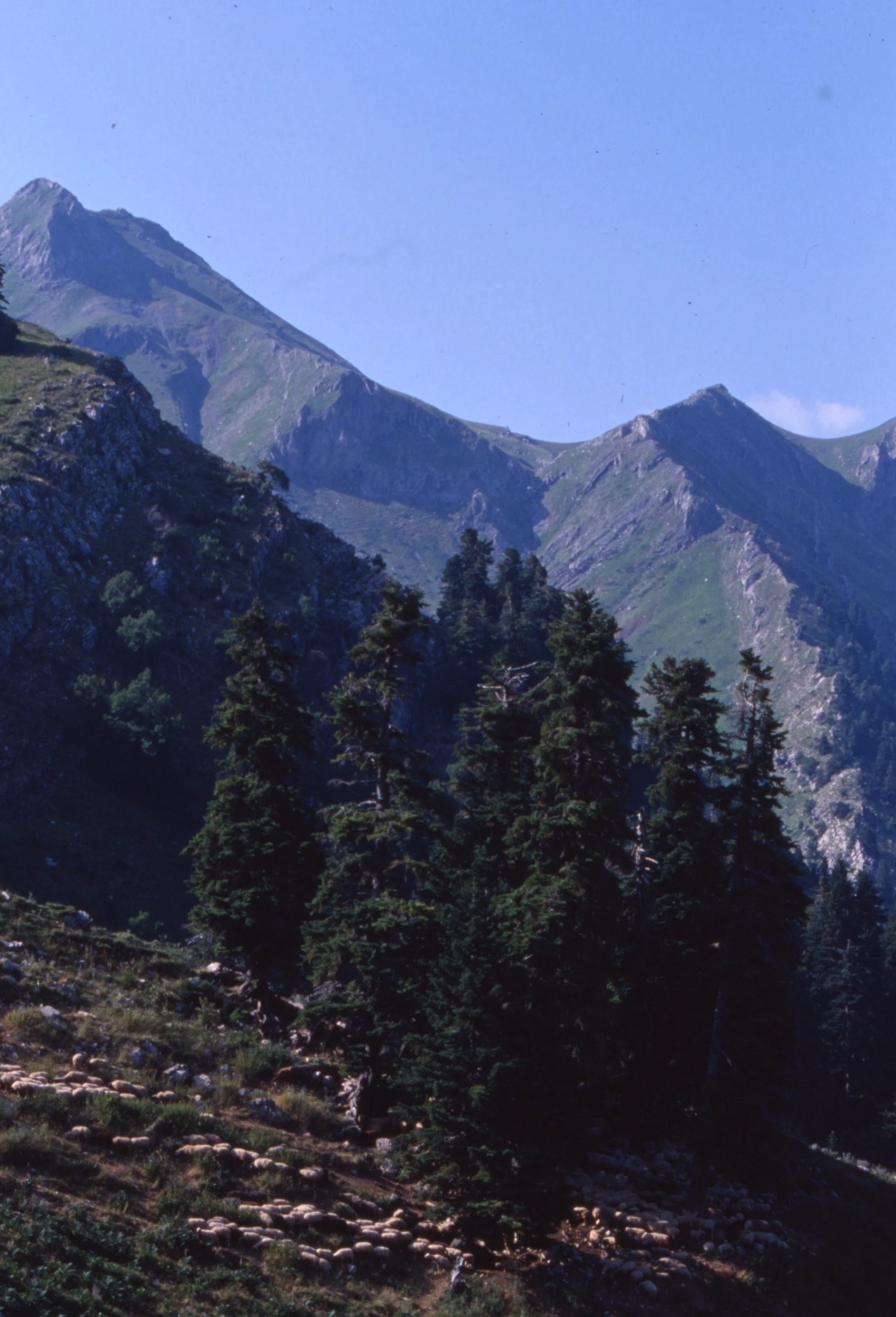img20260513_12113990.jpg