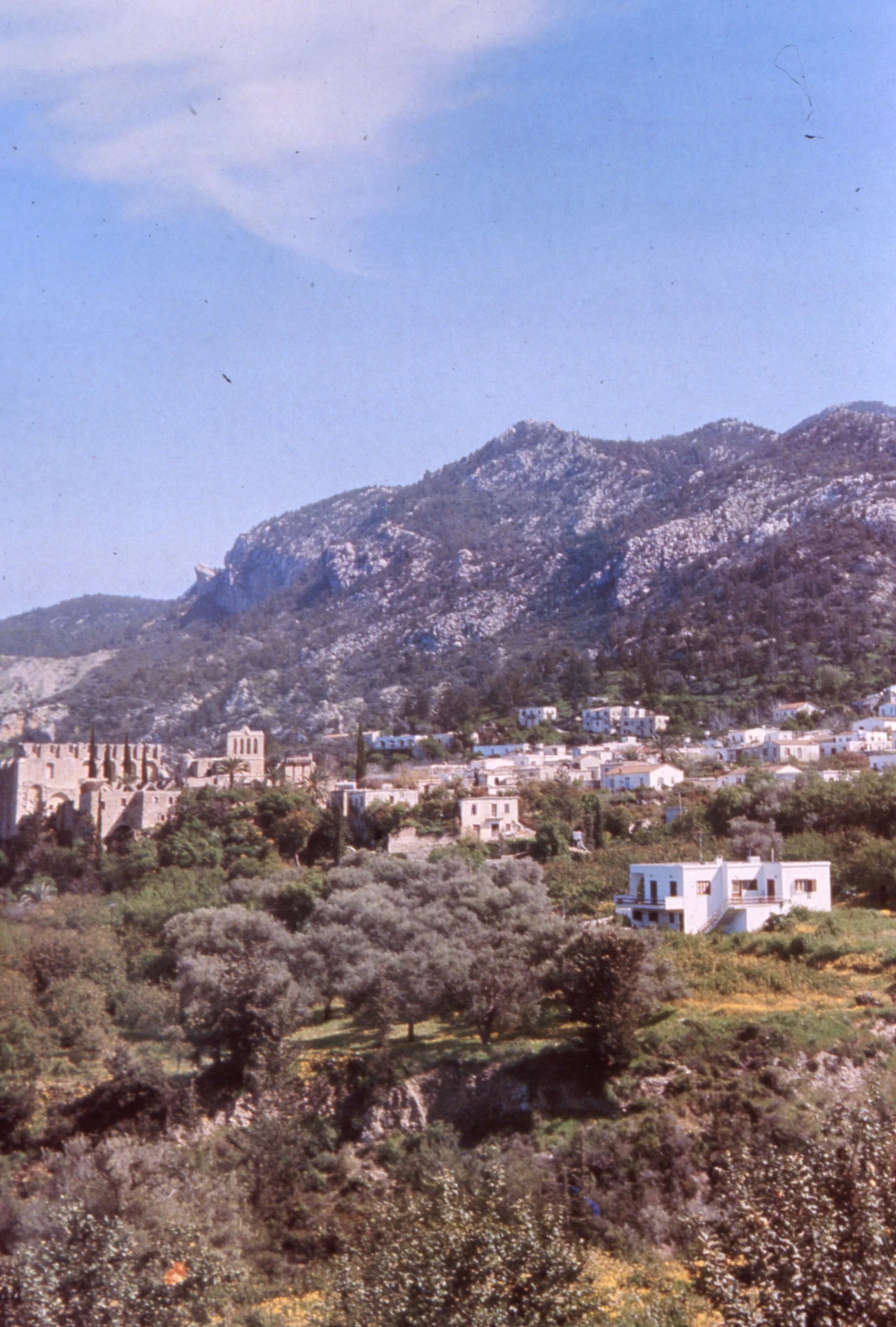 img20260513_13382489.jpg