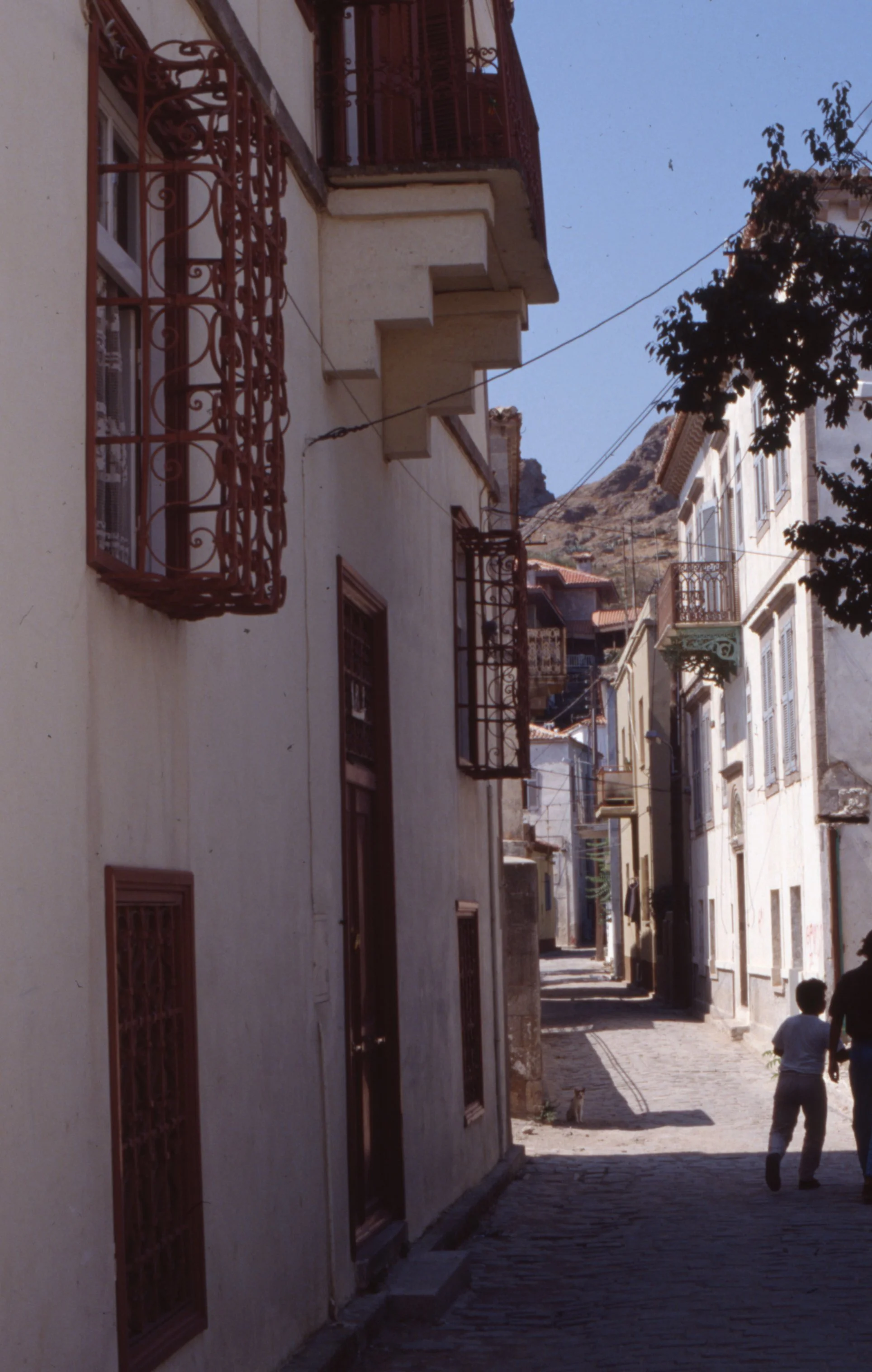 img20260513_13263542.jpg