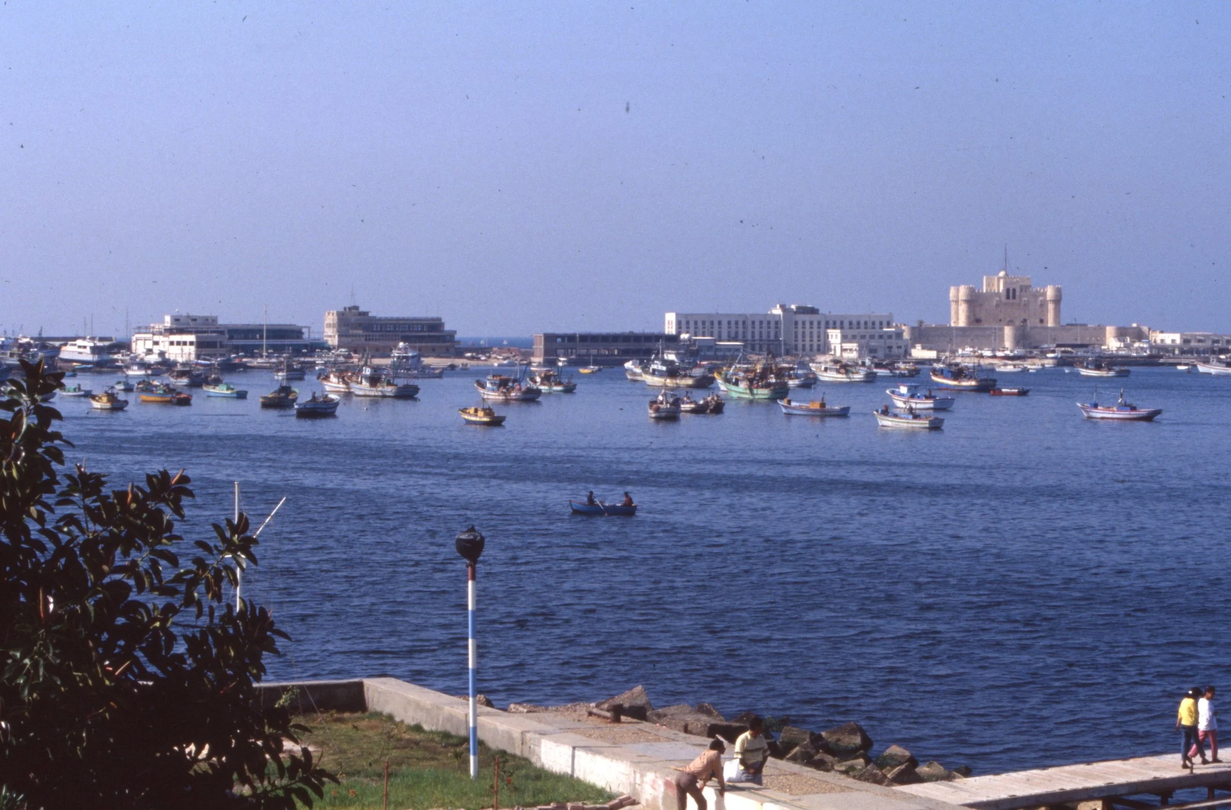 img20260513_14185725.jpg