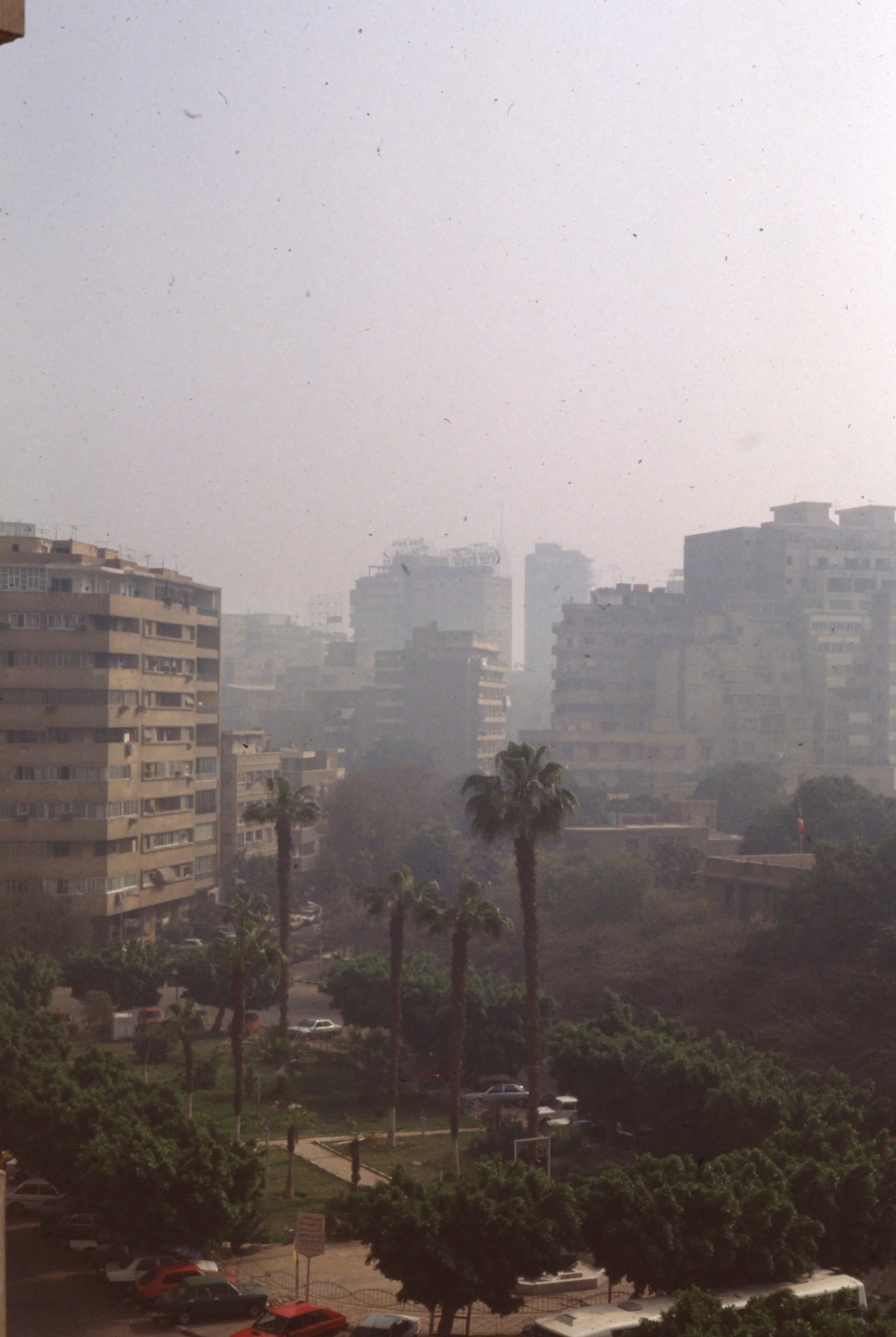 img20260513_14245011.jpg