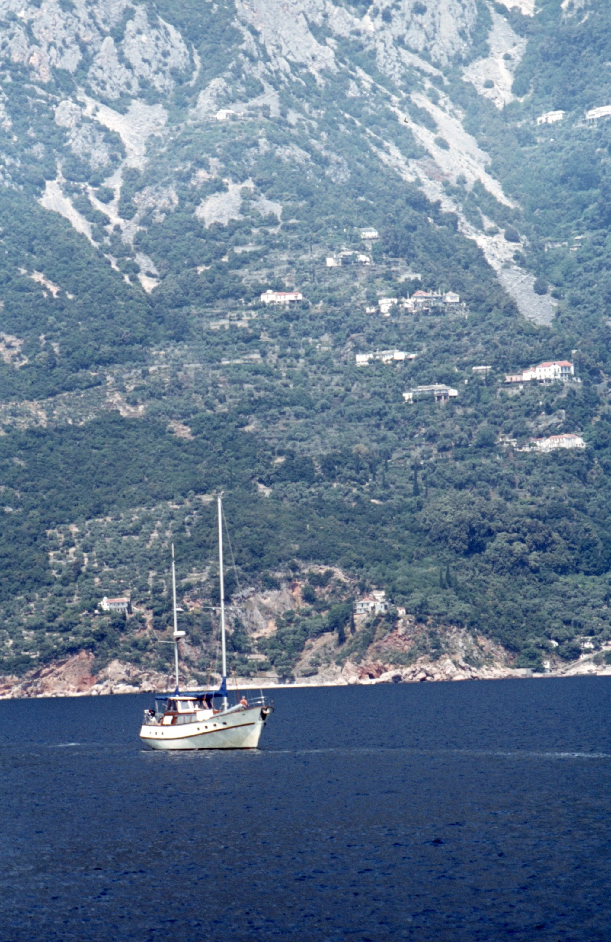img20260513_16442973.jpg