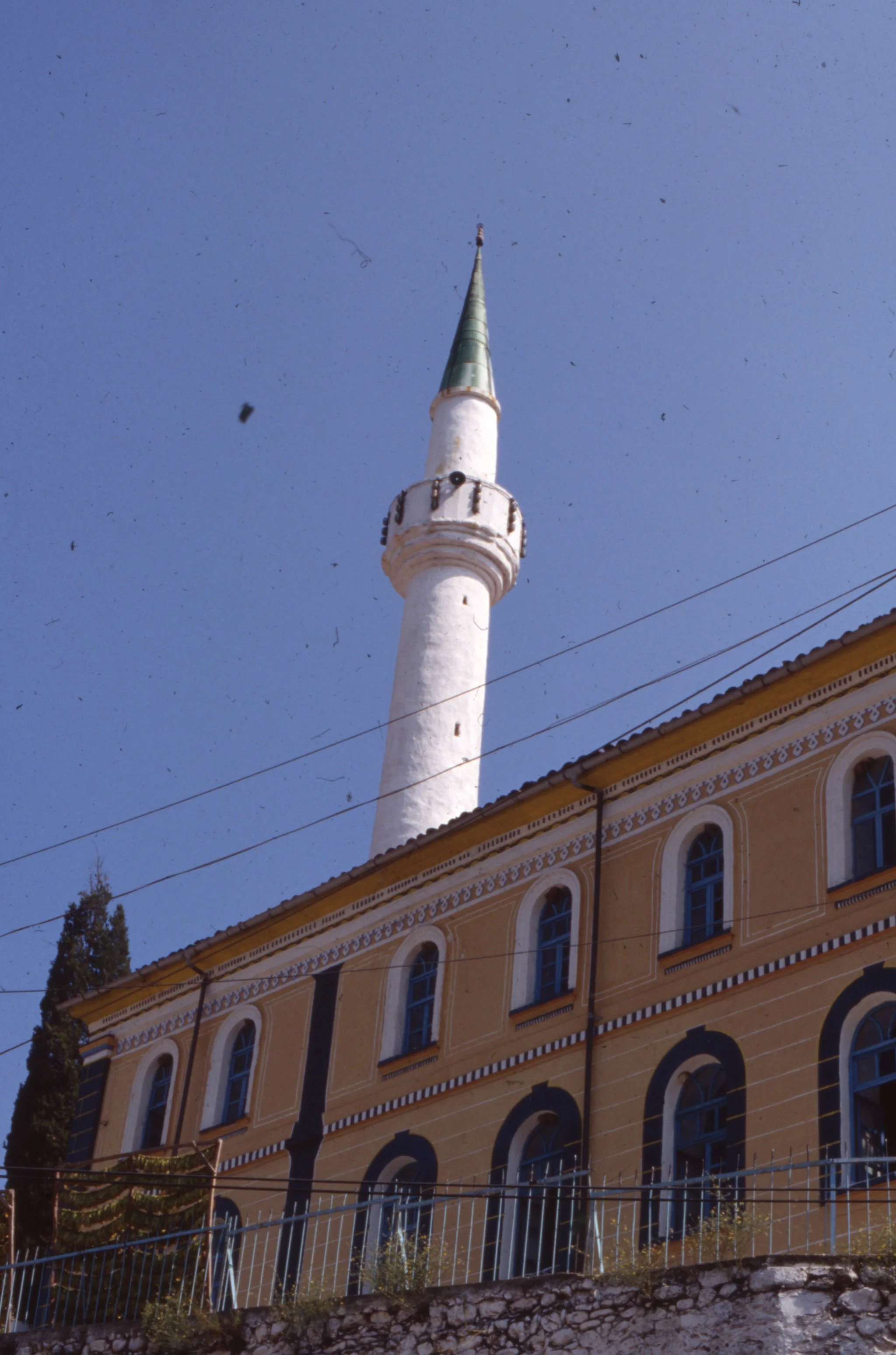 img20260513_13045902.jpg
