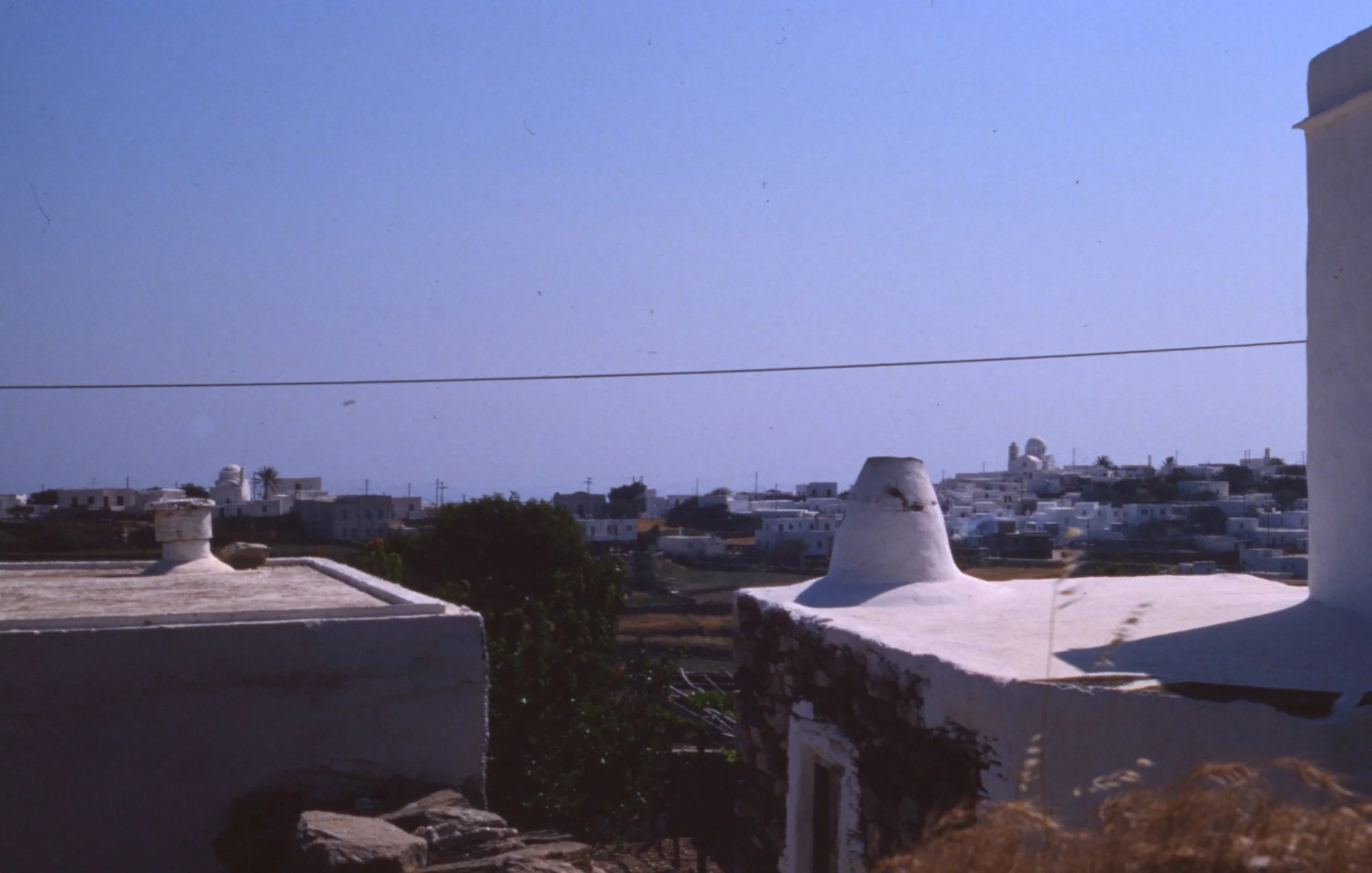 img20260512_15090664.jpg