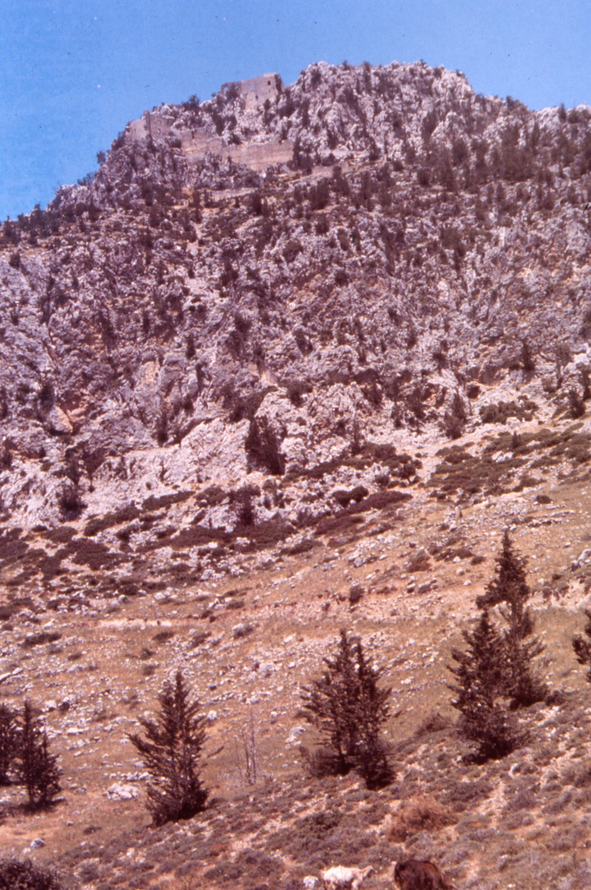 img20260513_14042351.jpg