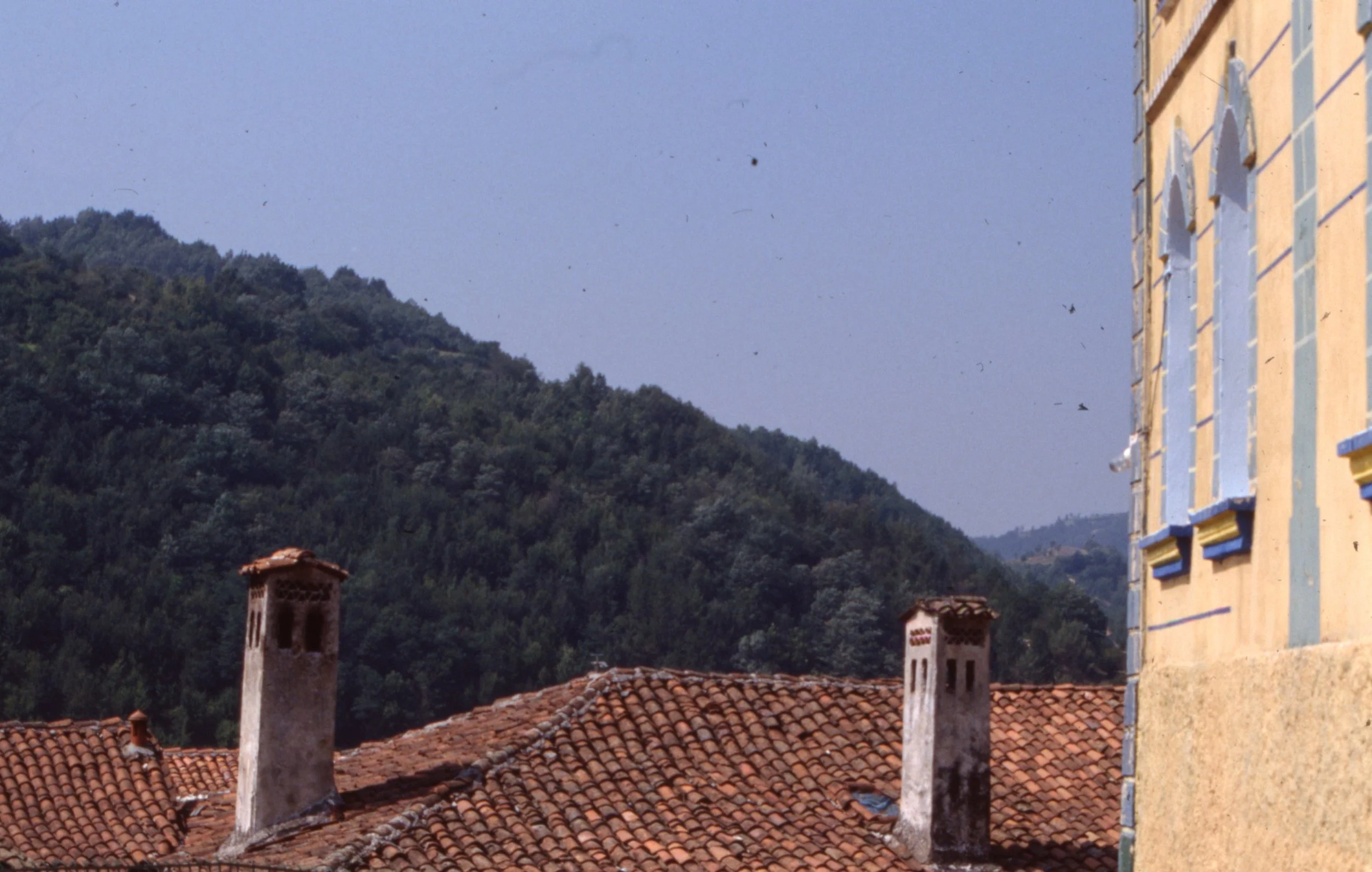 img20260513_13033383.jpg