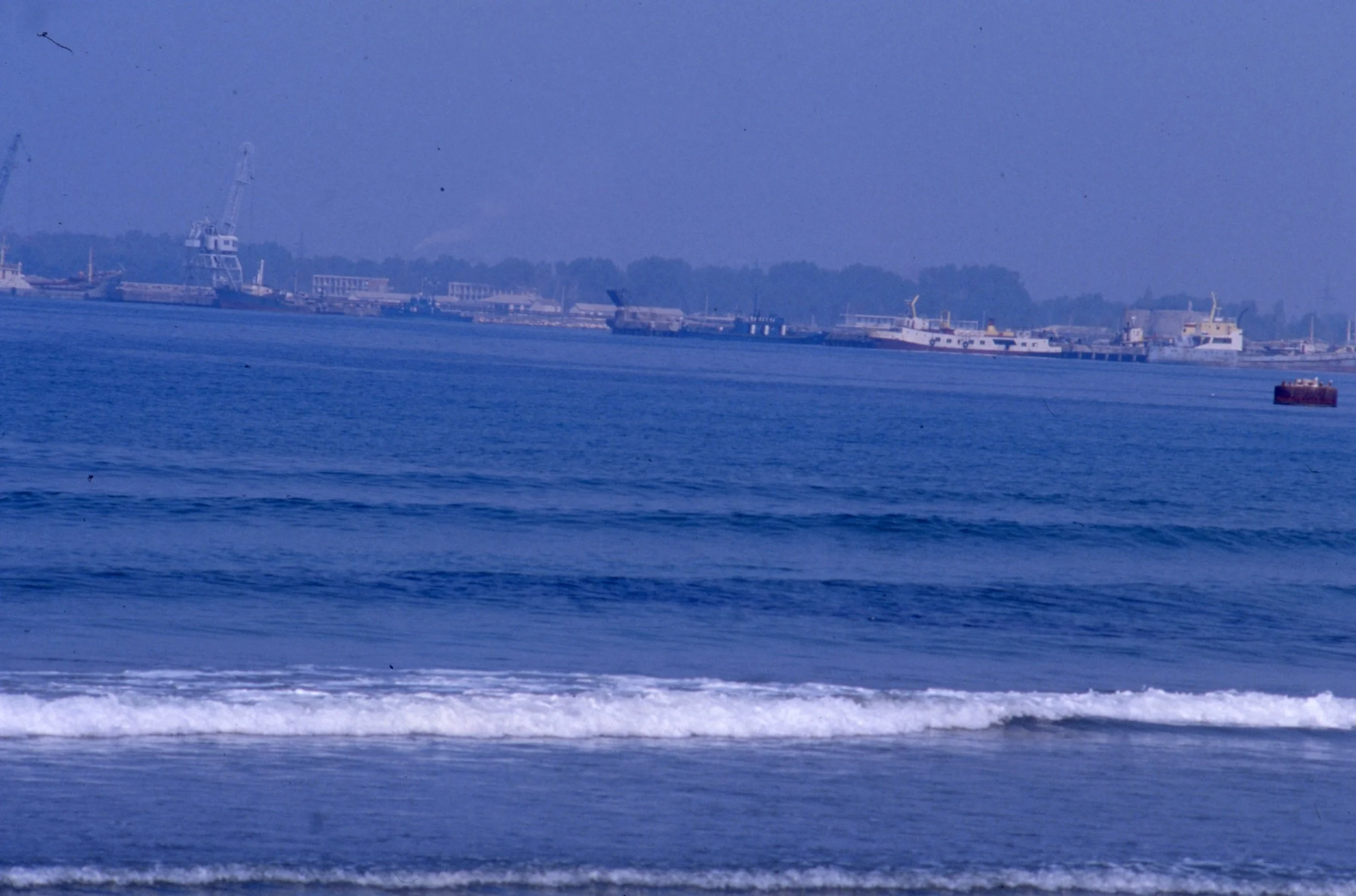img20260504_18162812.jpg