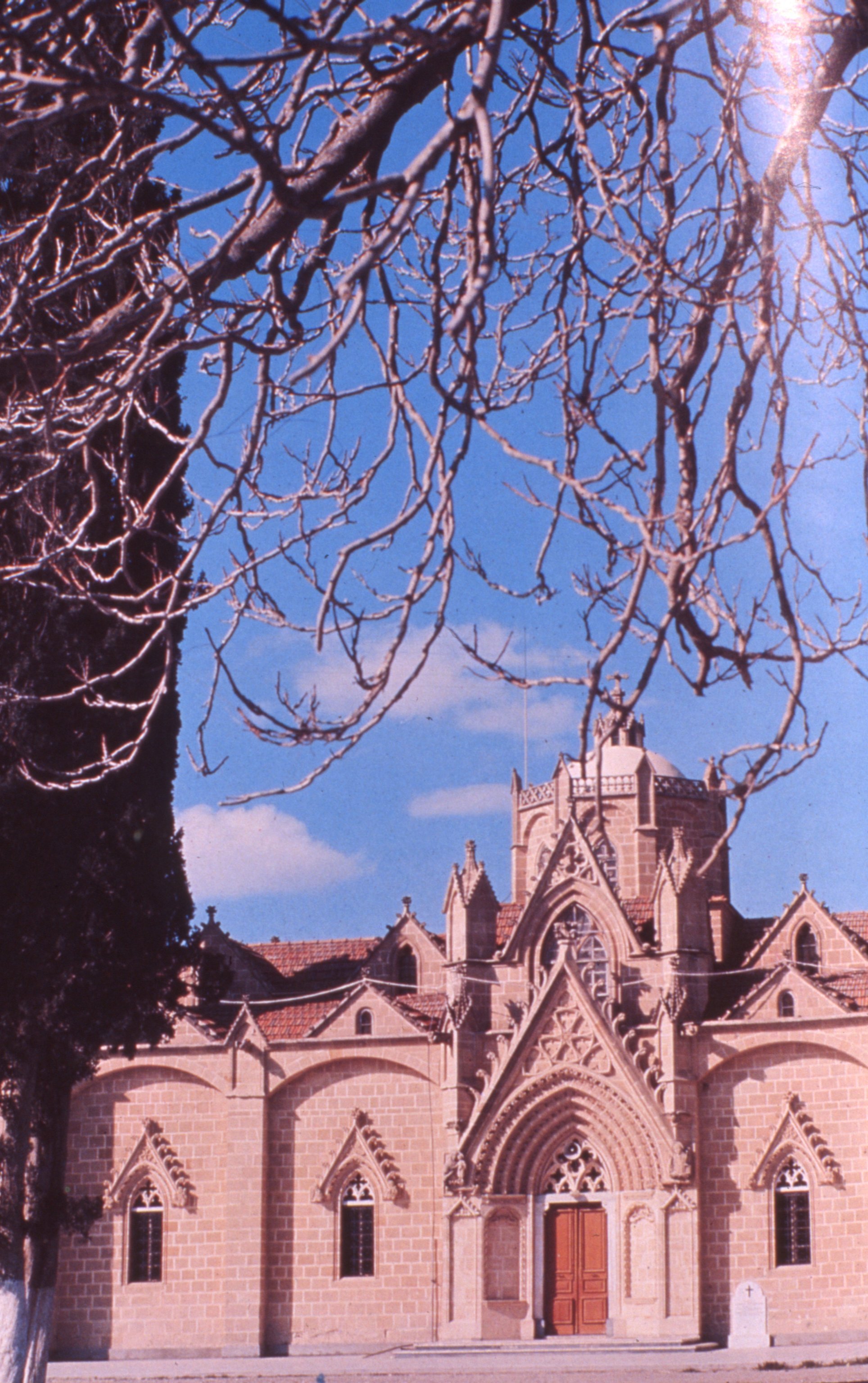 img20260513_13563998.jpg