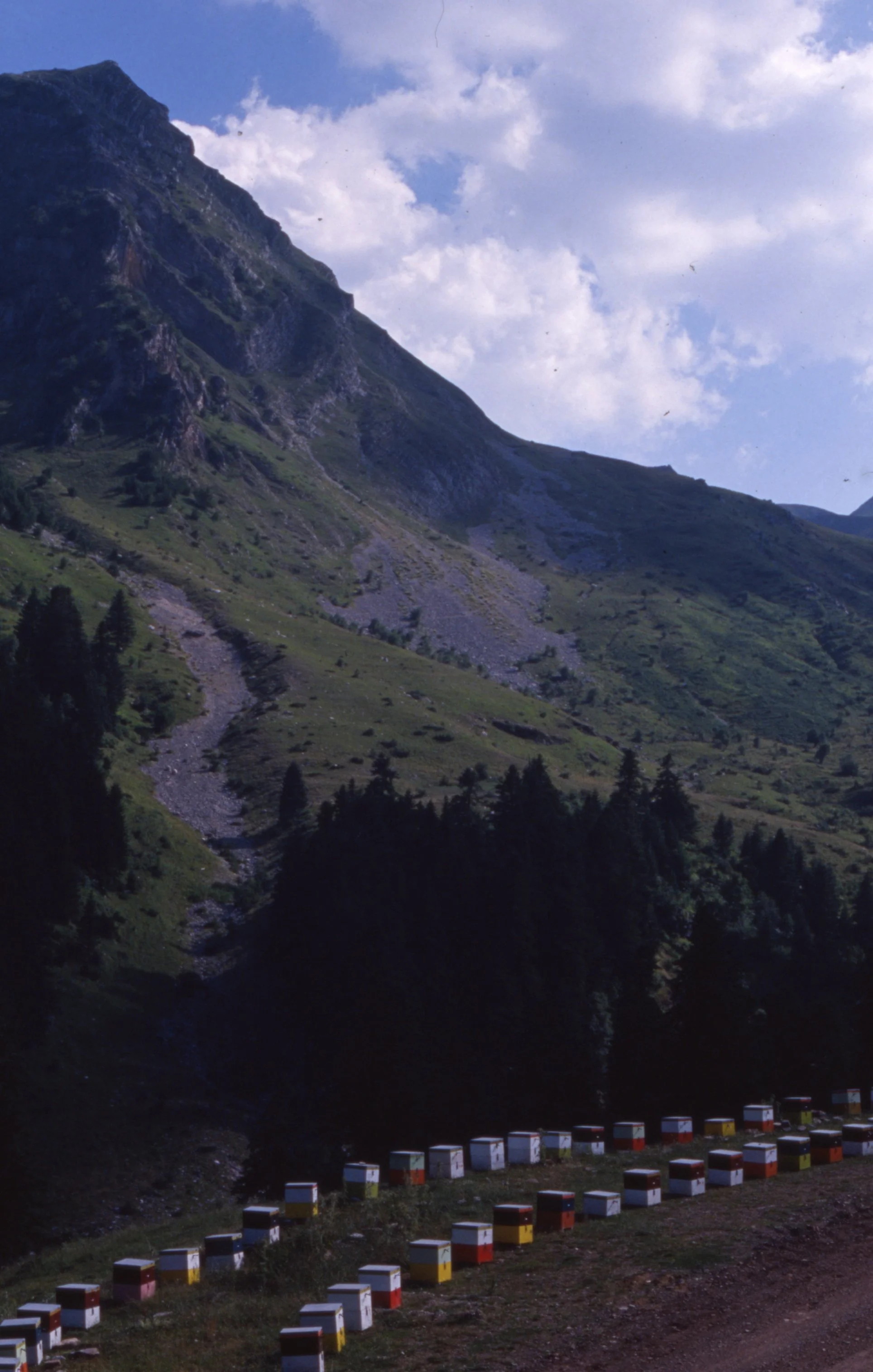 img20260513_12091412.jpg