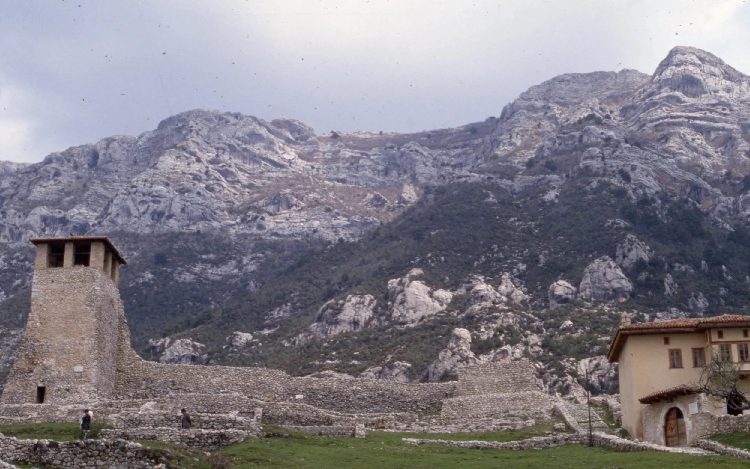 img20260504_18123001.jpg