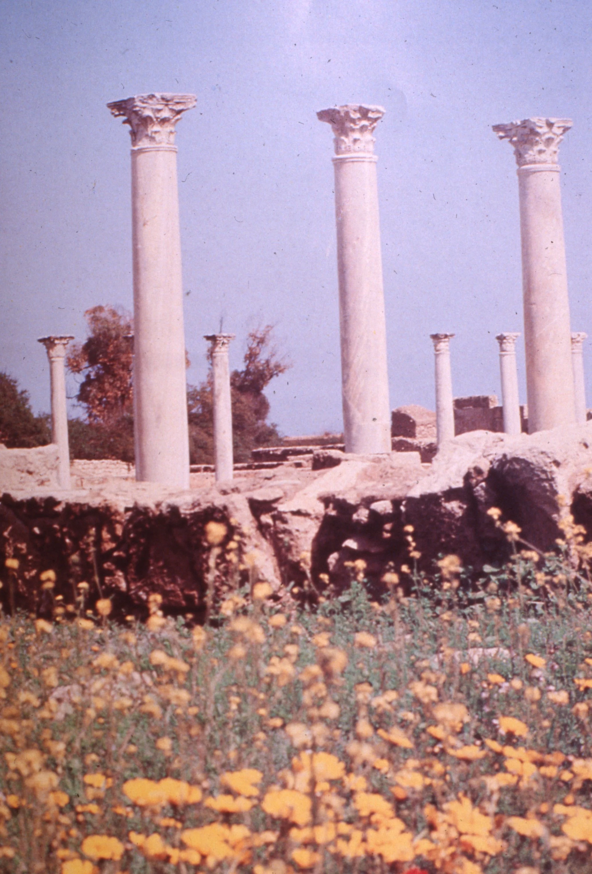 img20260513_13551774.jpg