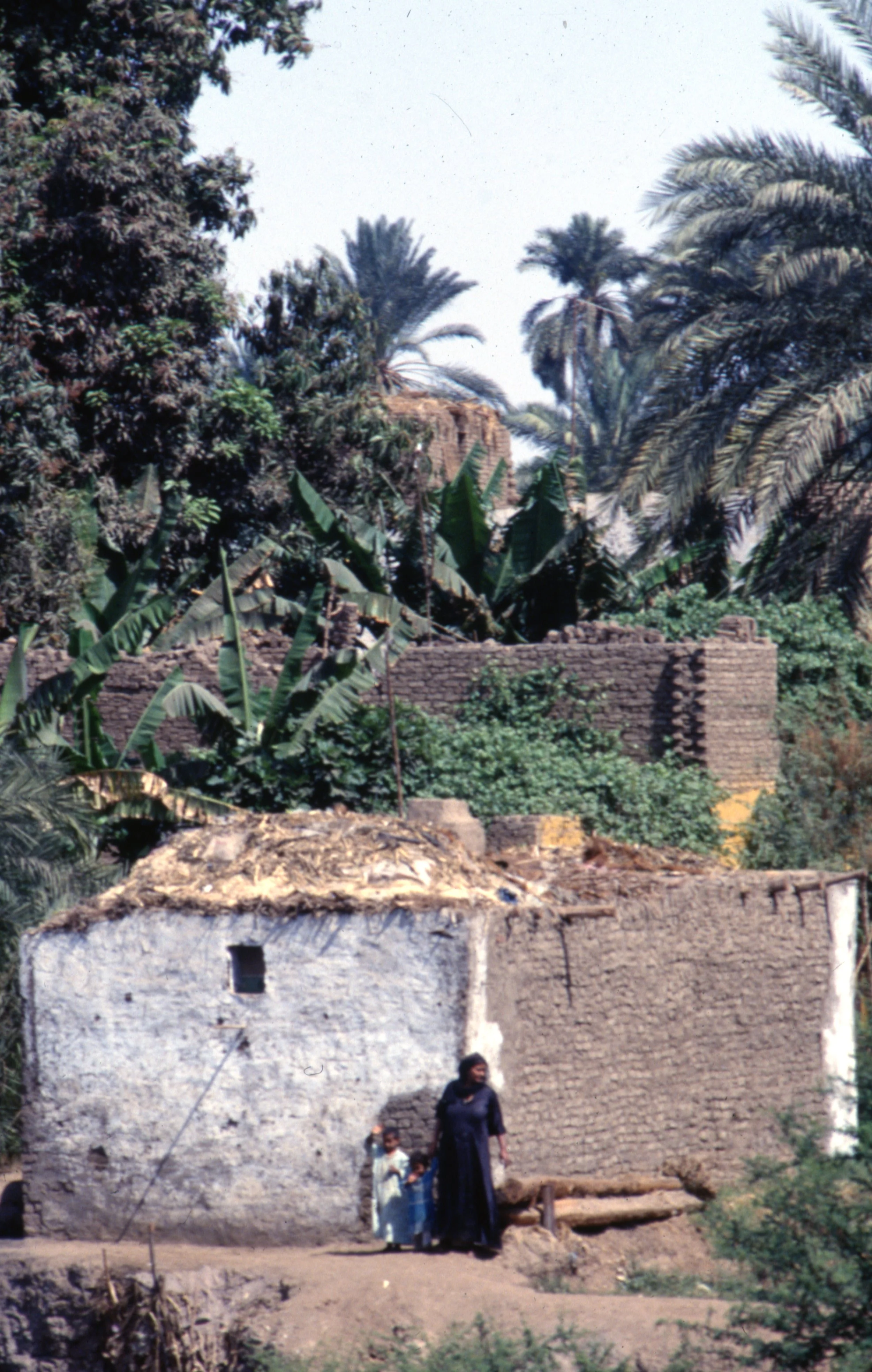 box.n19.0026.jpg