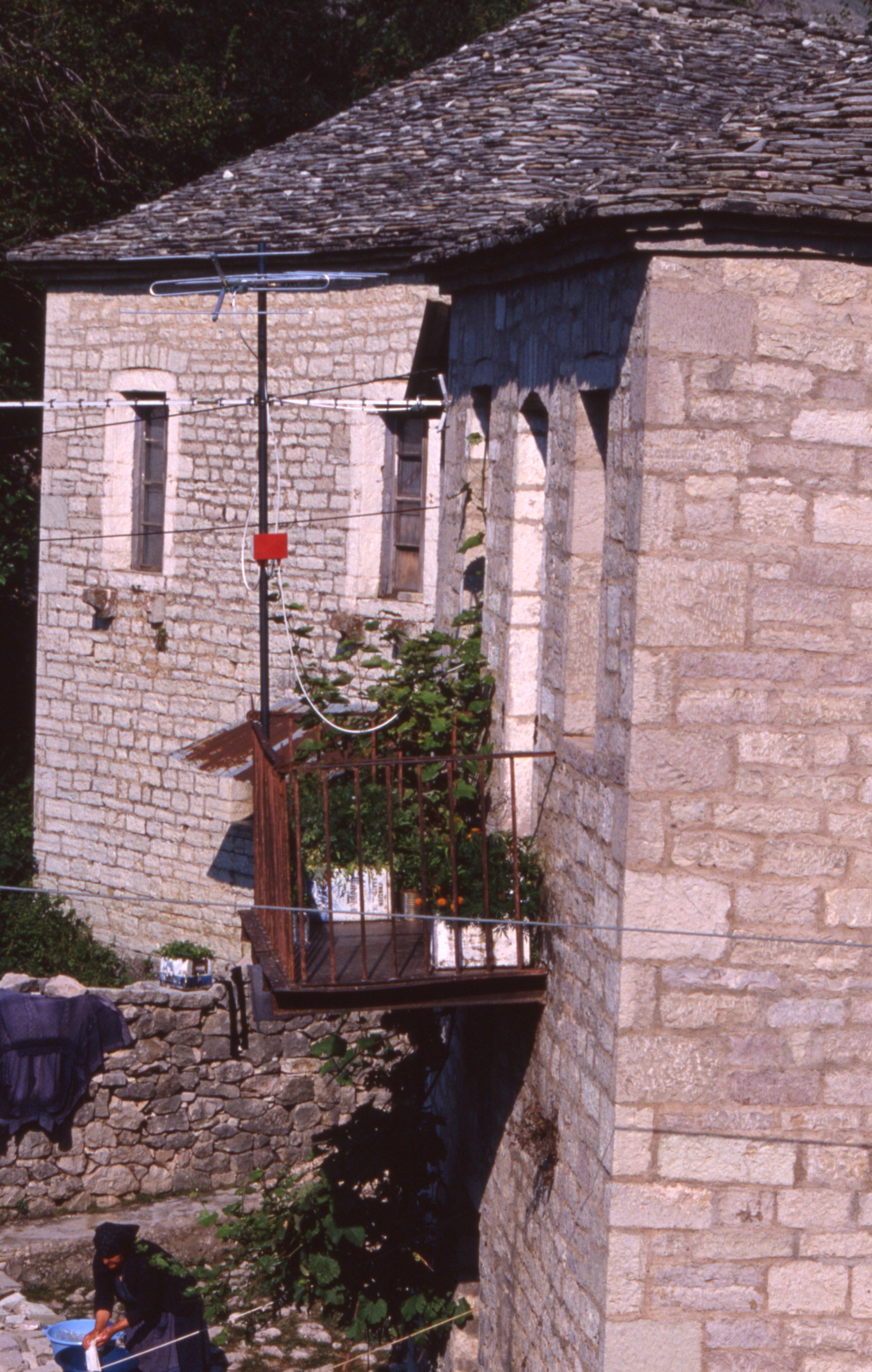 img20260513_12333916.jpg