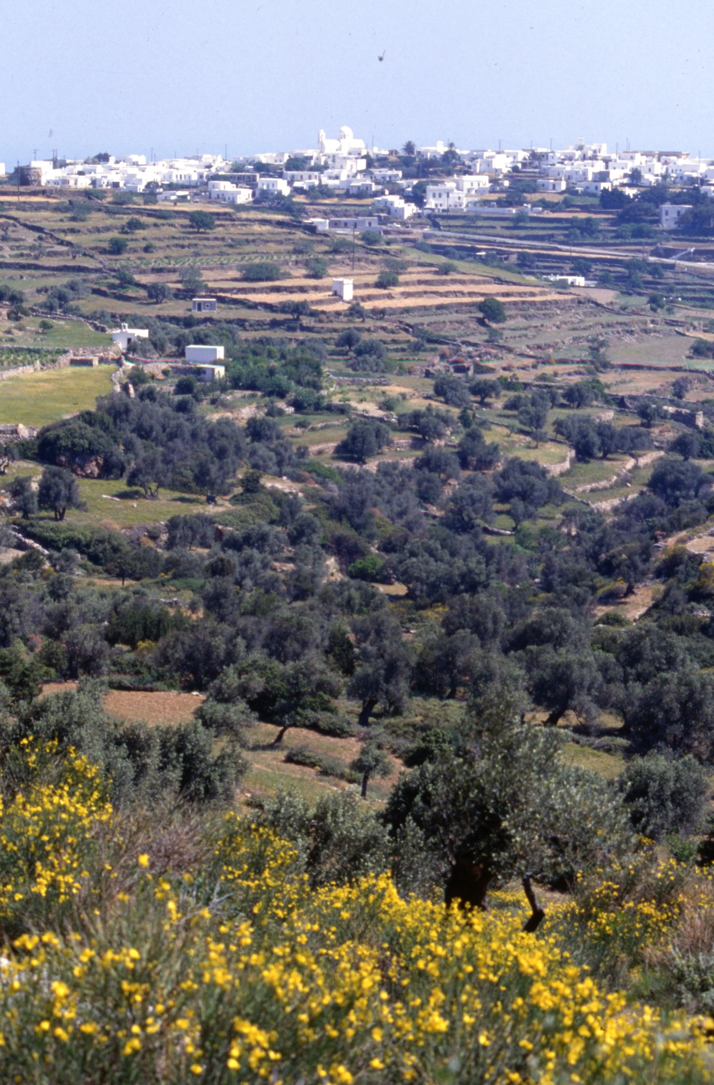 box.n24.0042.jpg