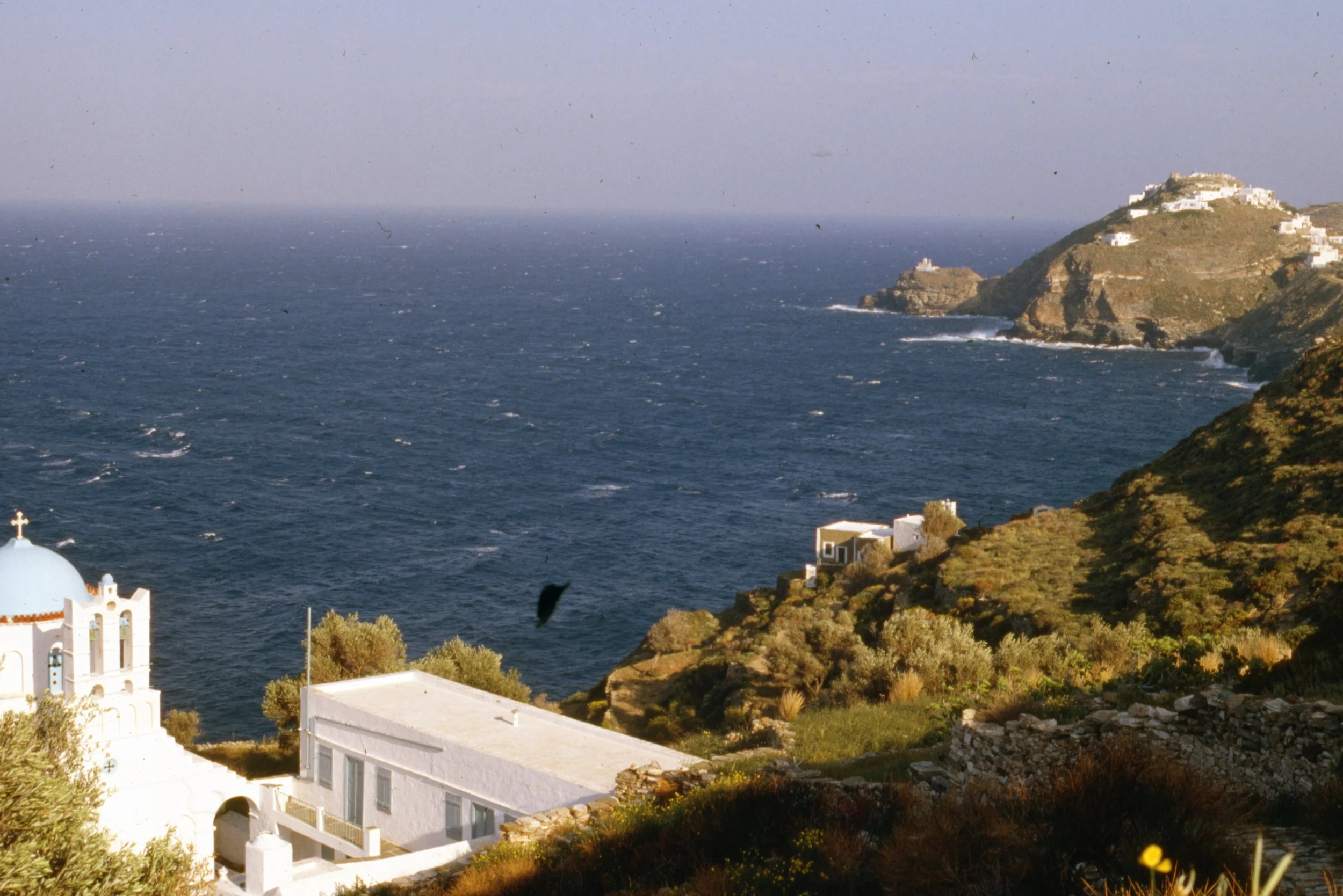 box.n24.0039.jpg