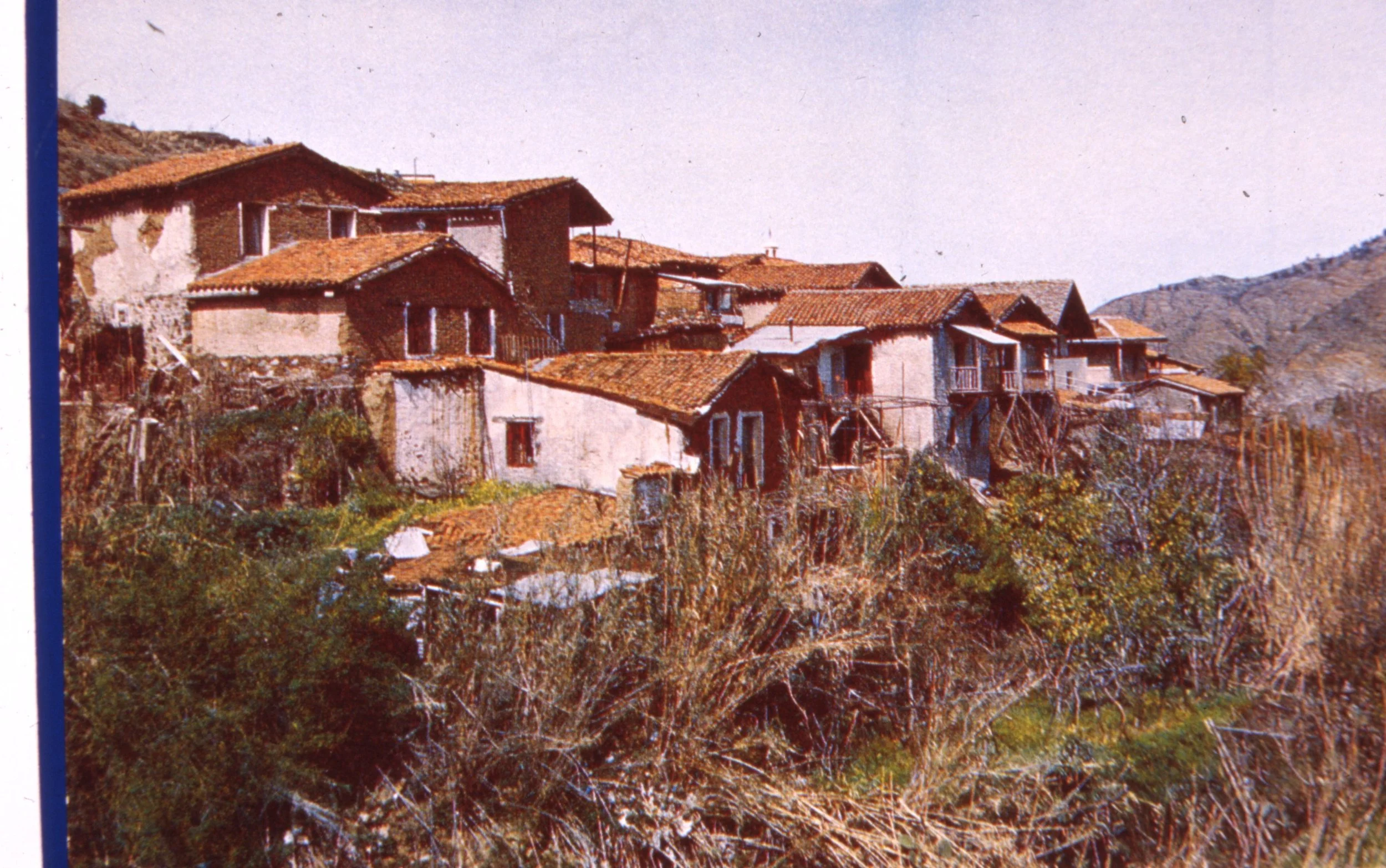 img20260513_14045449.jpg
