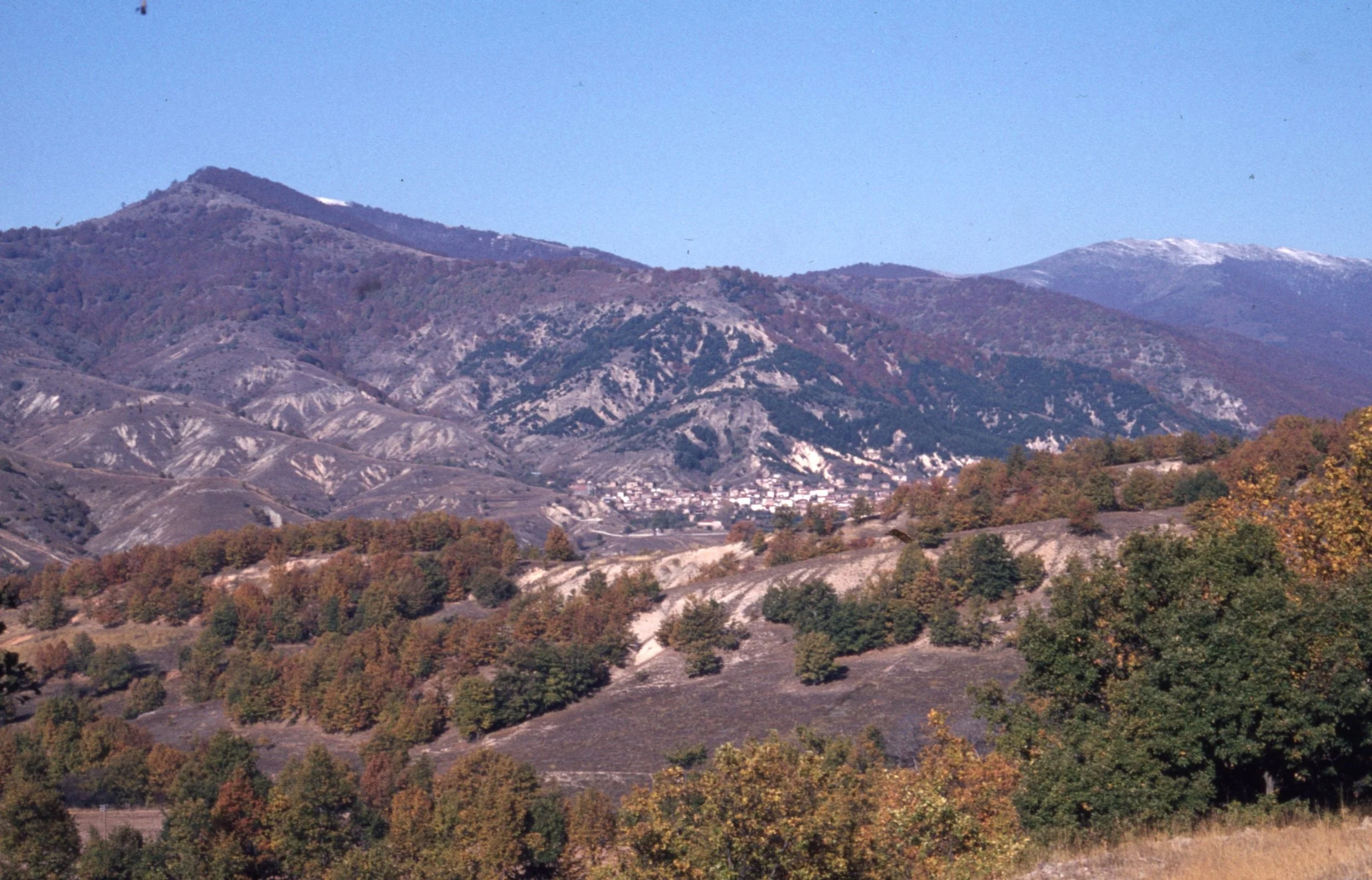img20260513_16343573.jpg