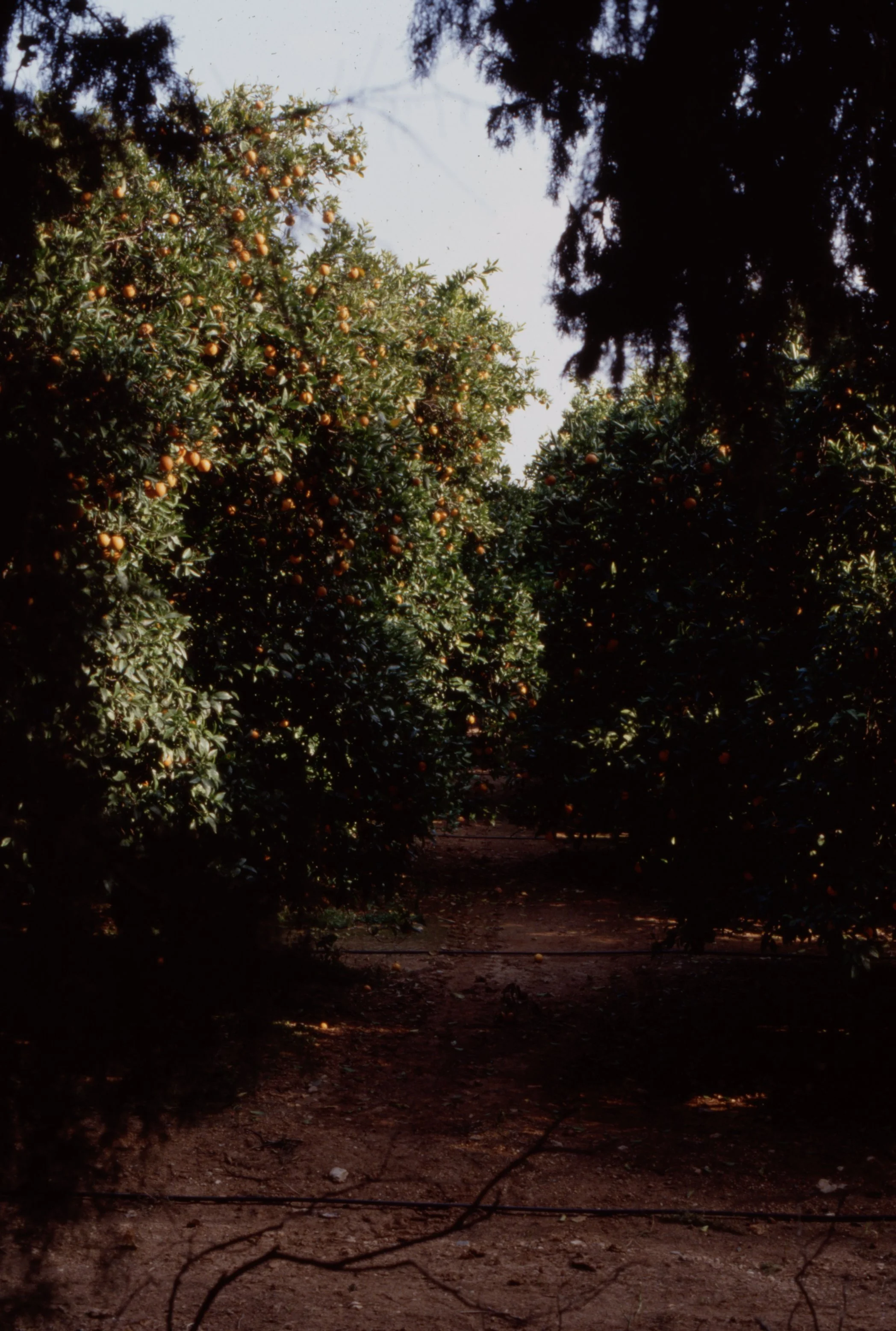 img20260513_14384695.jpg