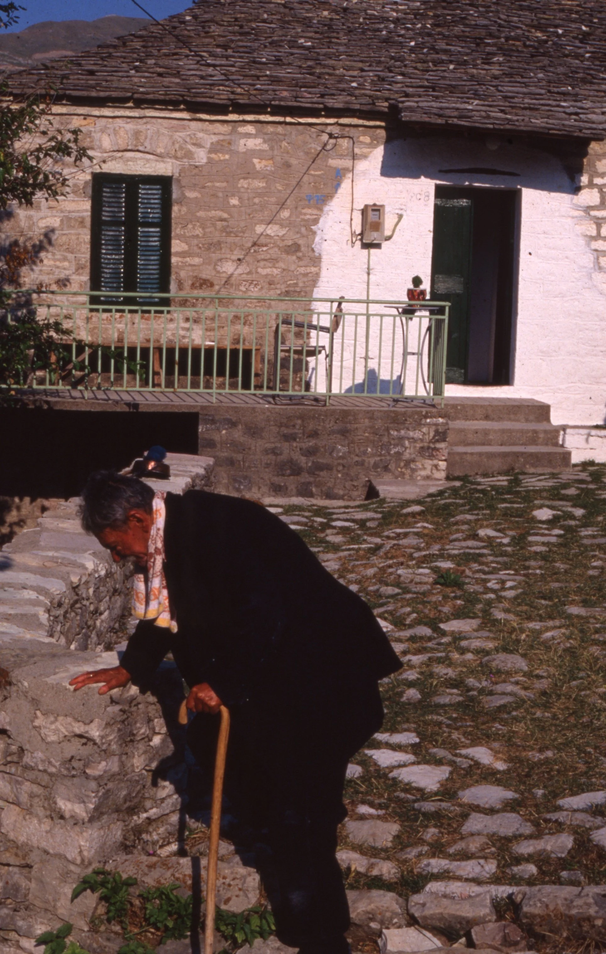 img20260513_12301120.jpg