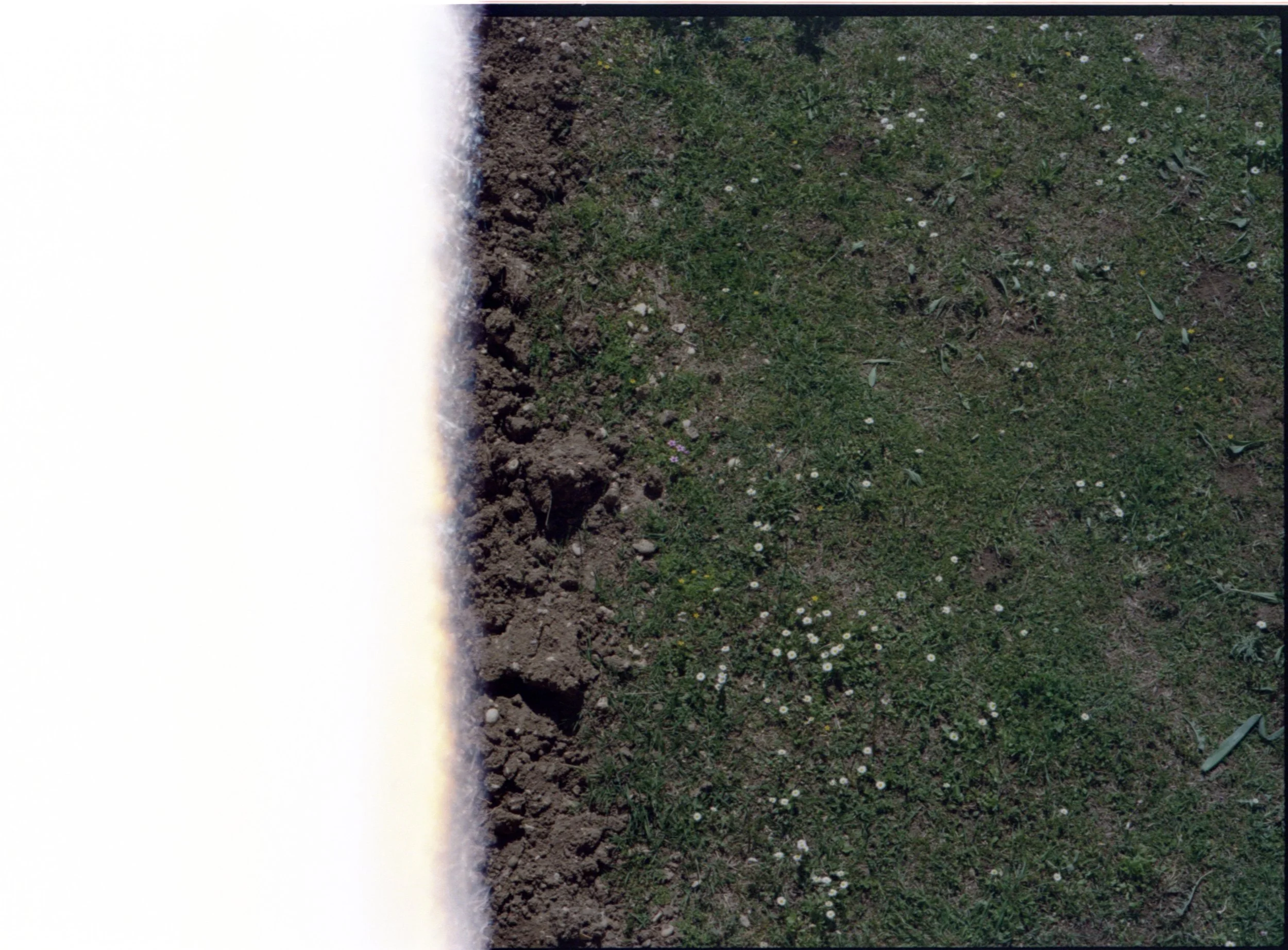 img20240526_20133030.jpg